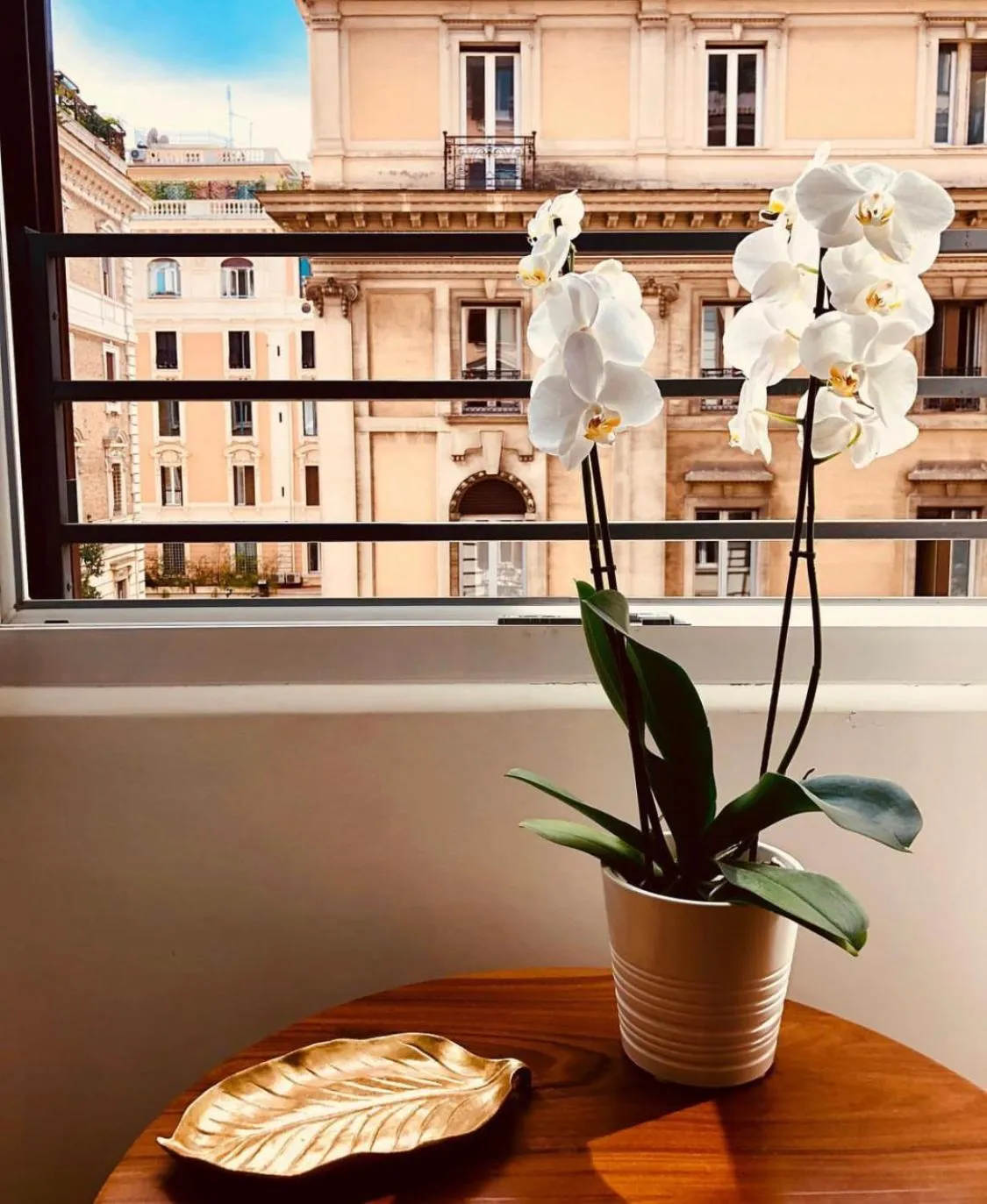 View (from property/room) in 900 Piazza del Popolo