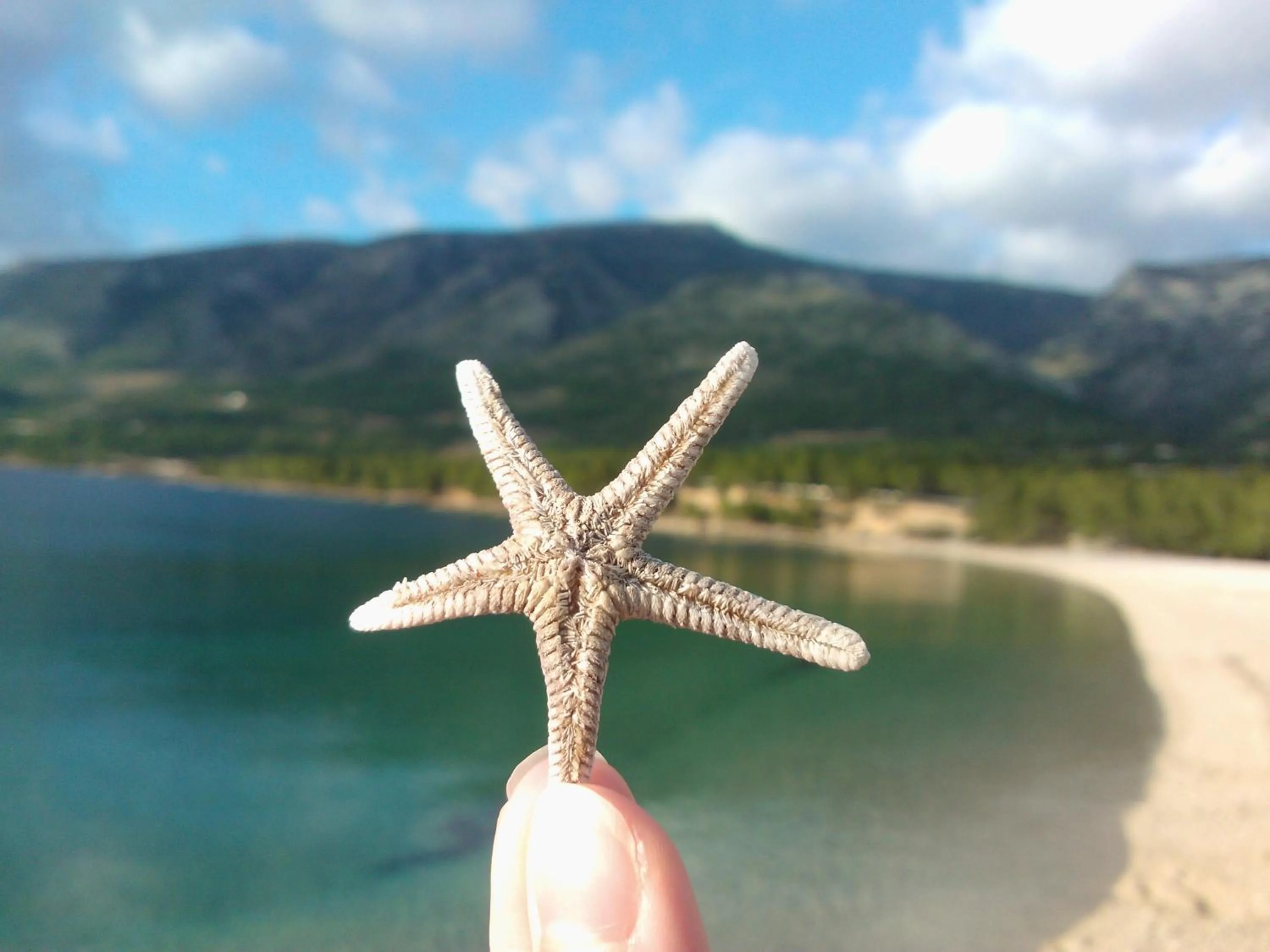 Other in Apartment Allure