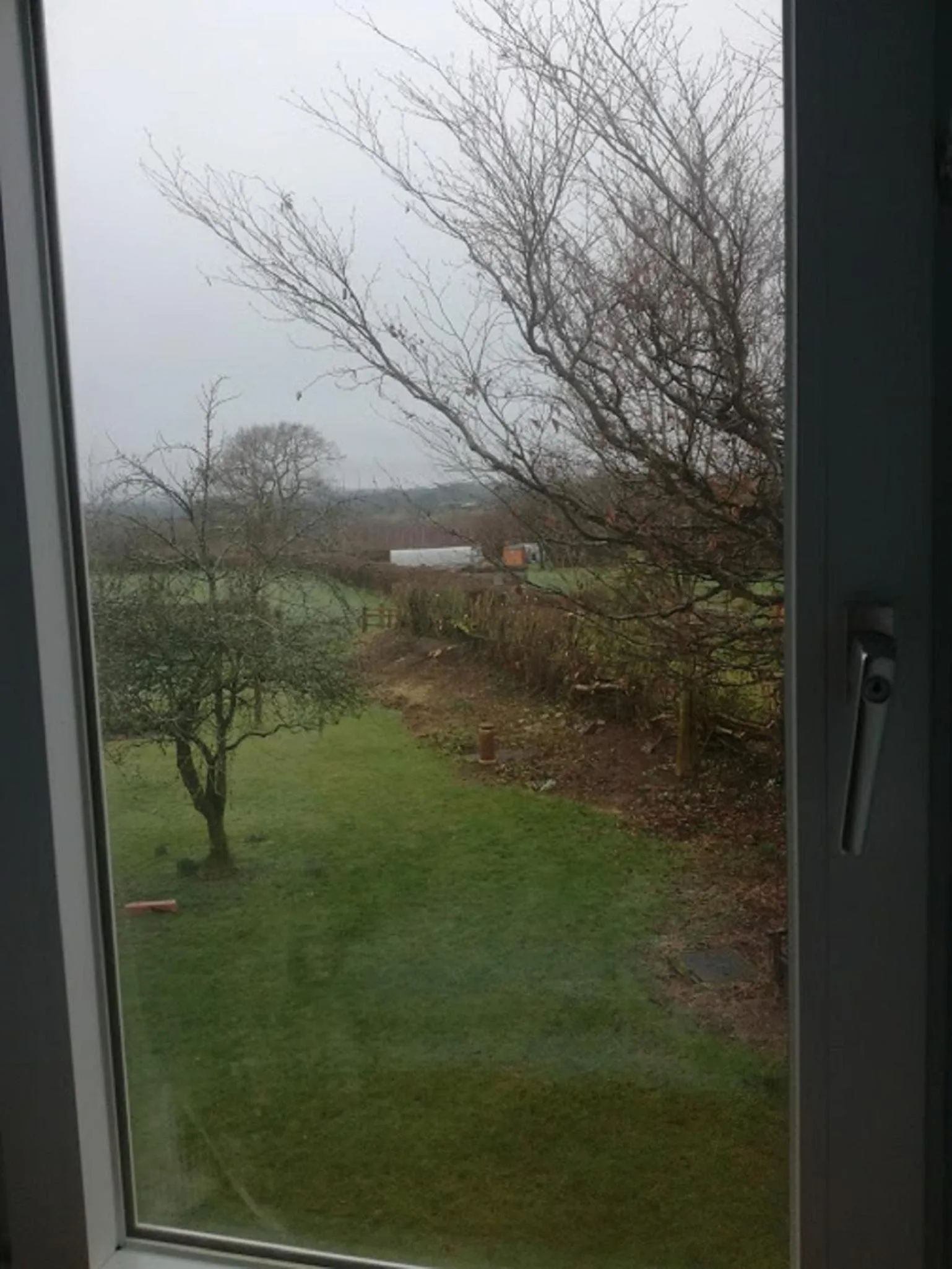 Garden view in Ty Newydd