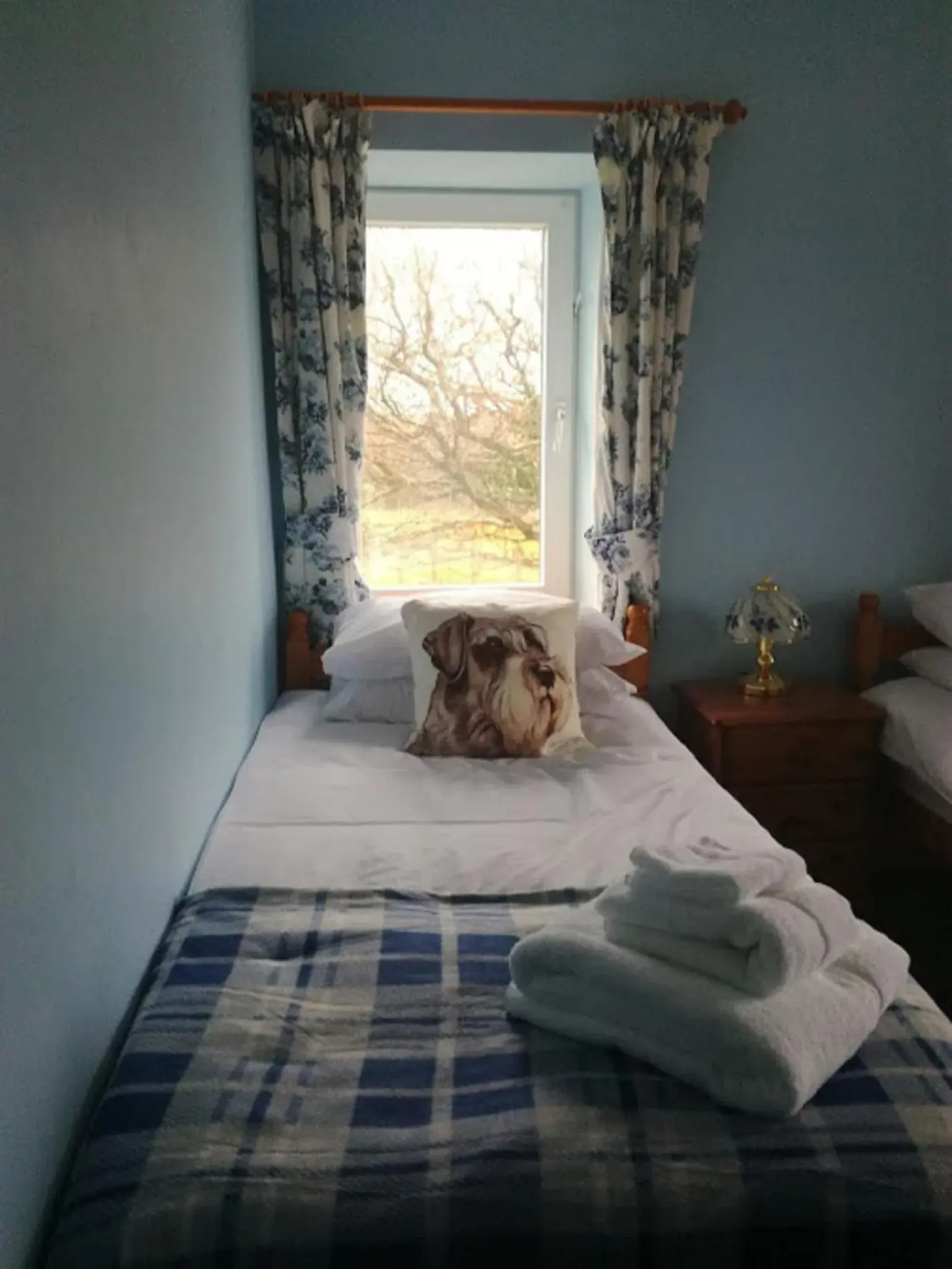 Twin Room with Shower - single occupancy in Ty Newydd Twin Room with Shower - single occupancy in Ty Newydd