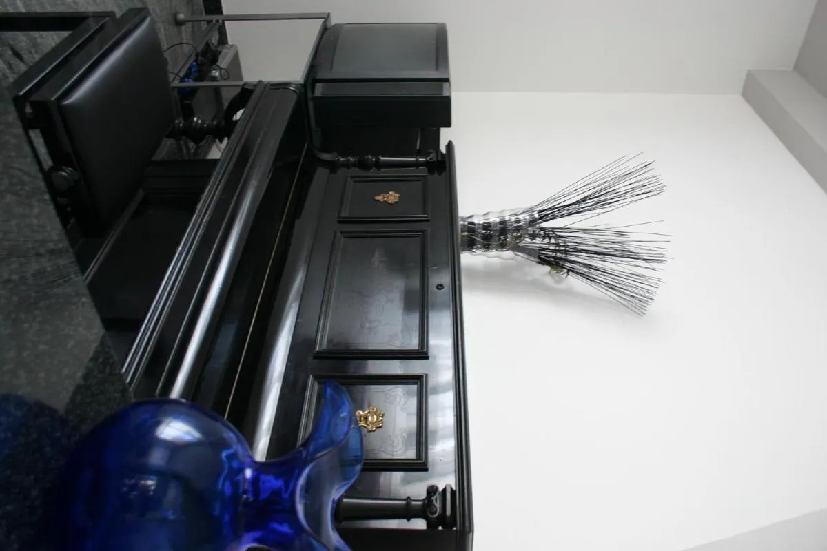 Evening entertainment in Hotel Della Motta