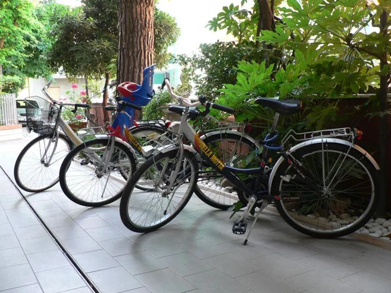 Activities in Hotel Della Motta