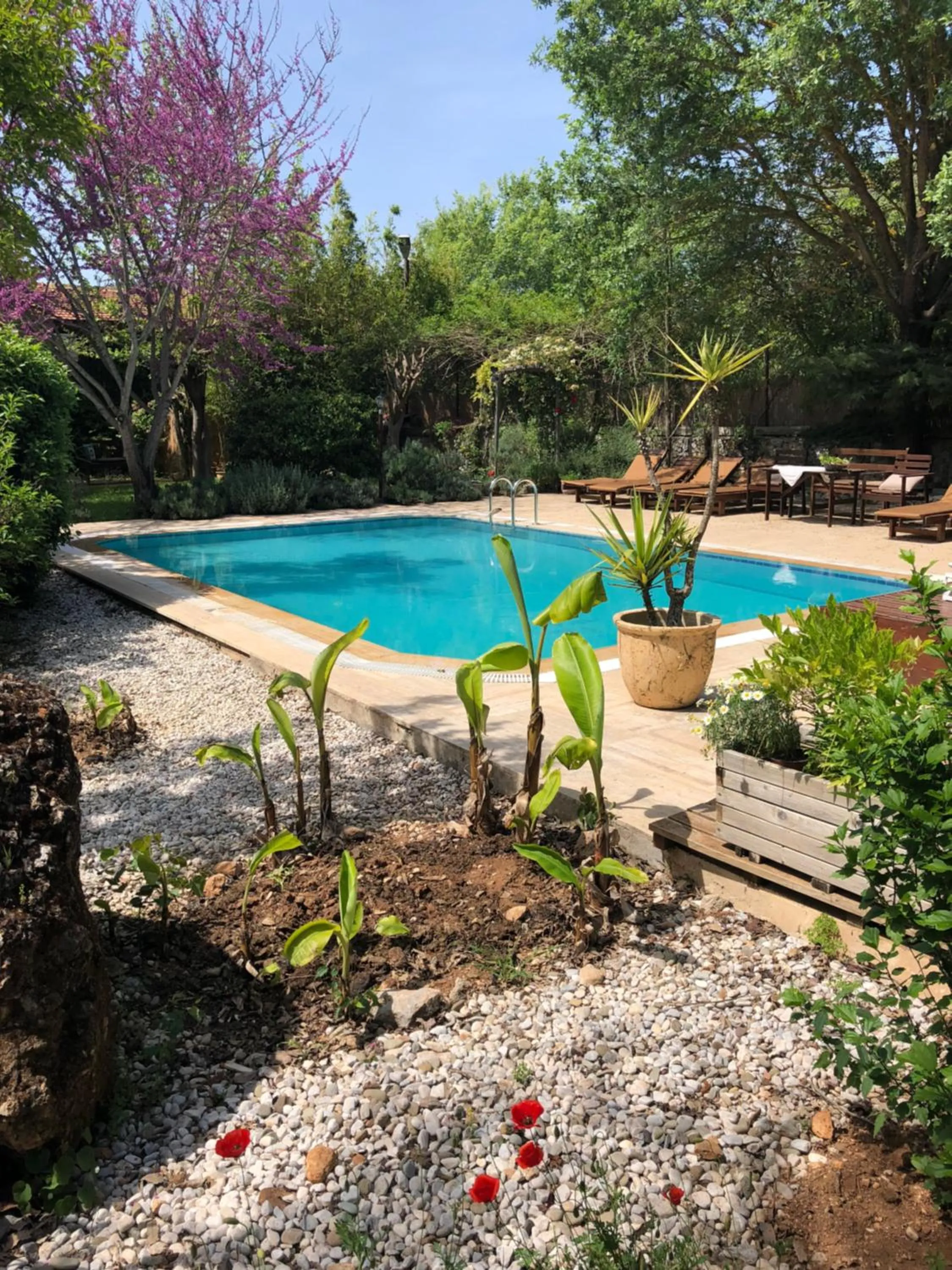Fig Garden Cottages