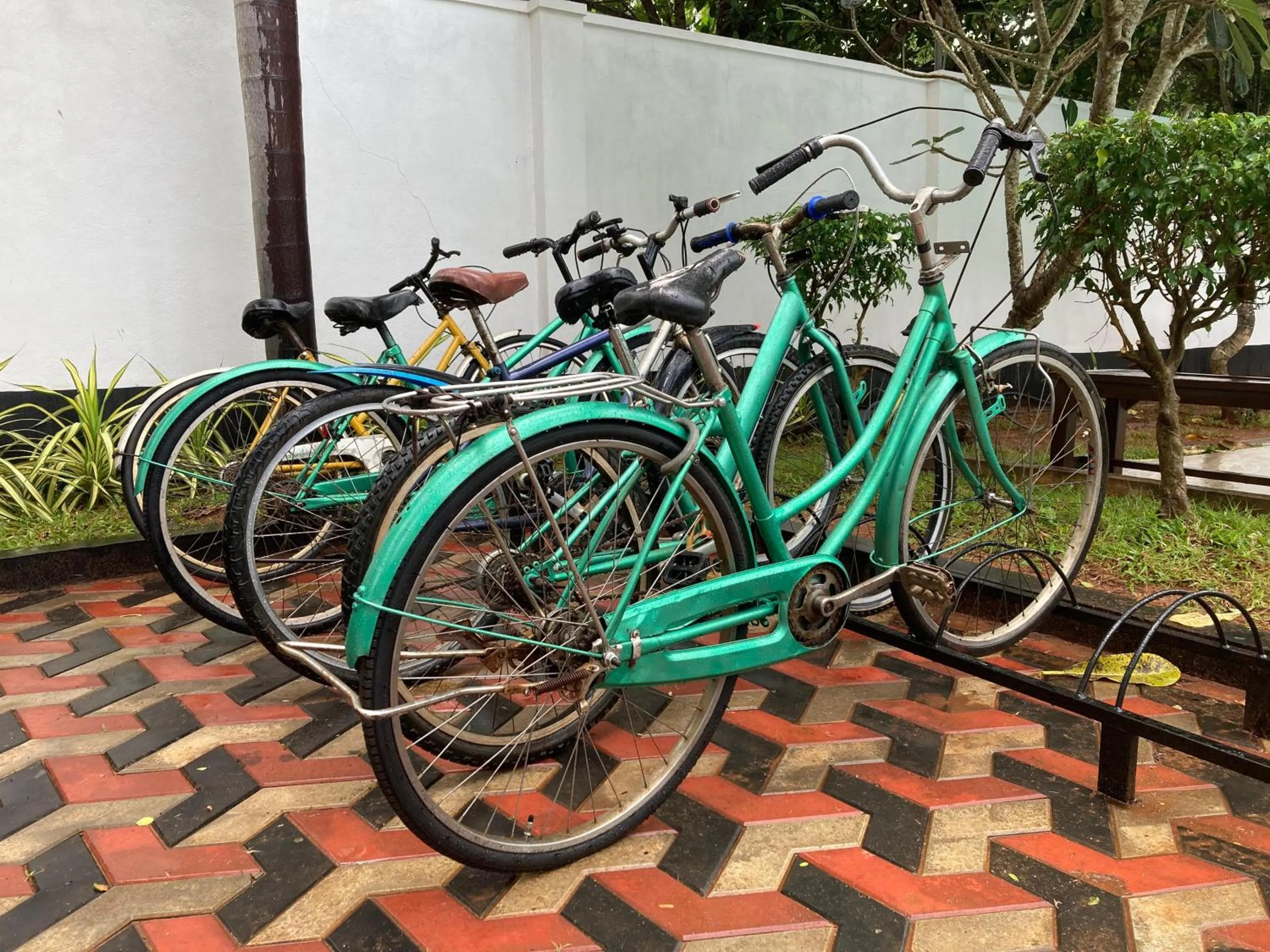 Cycling in Yala Hotel Elephant Eye