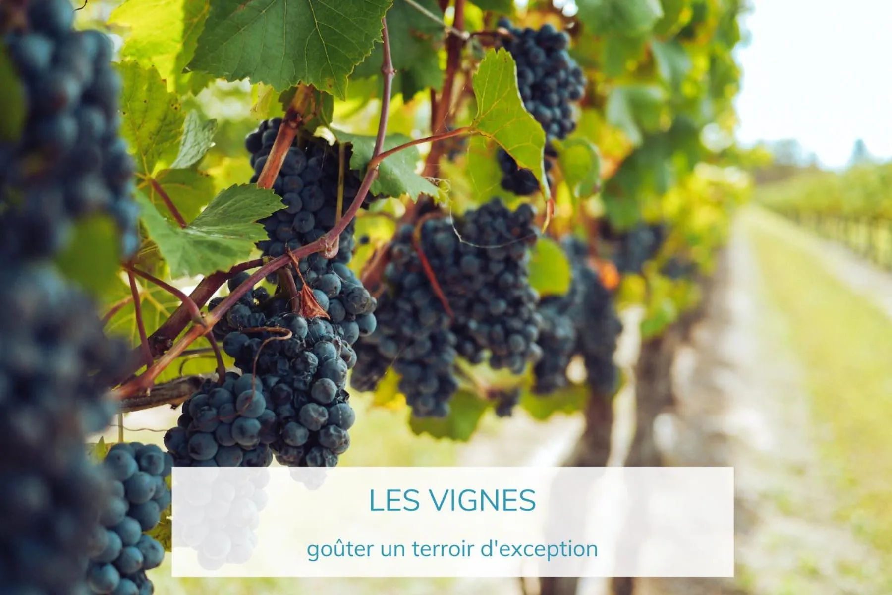 Nearby landmark in Hôtel La Tartane Saint-Tropez