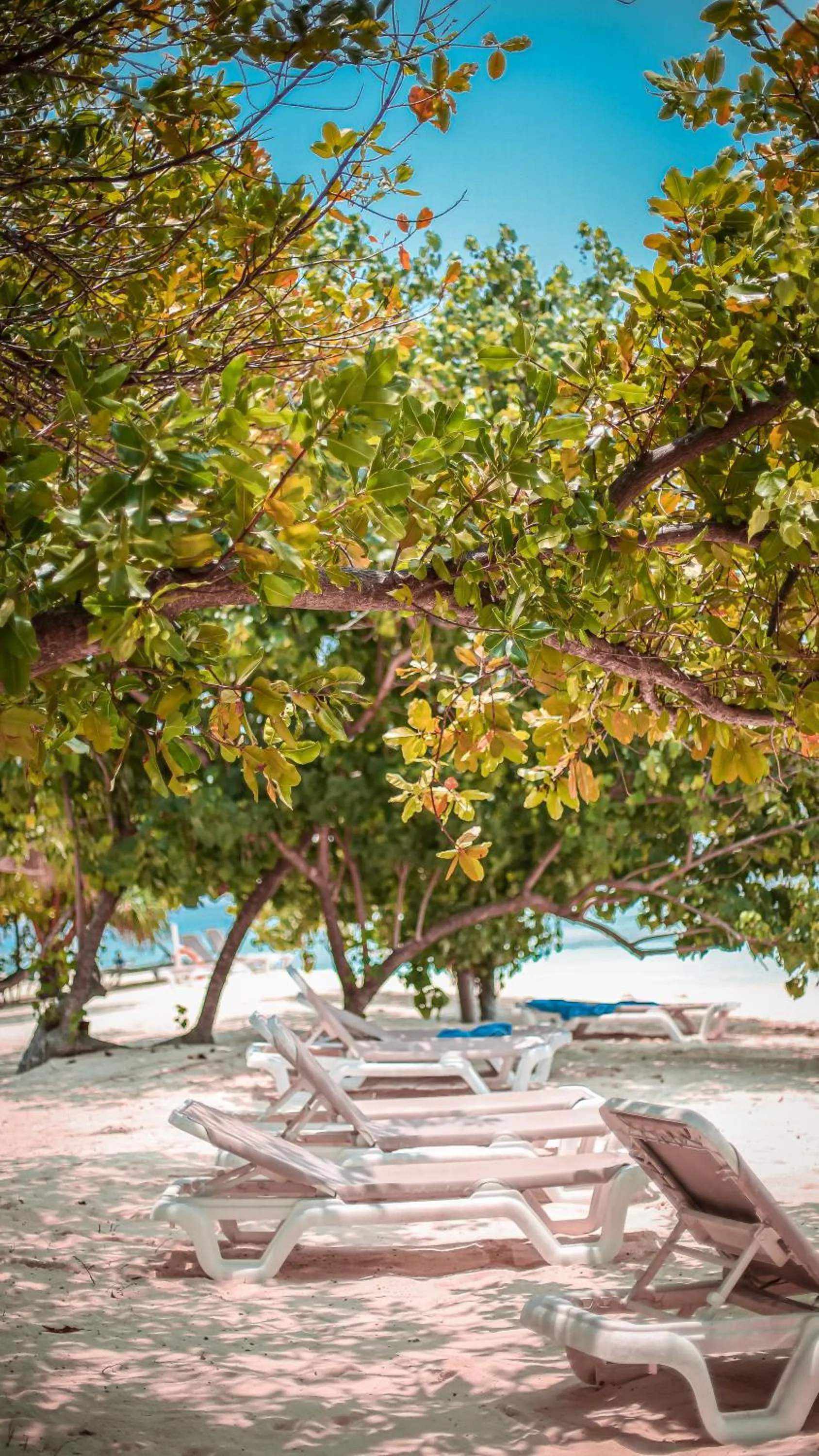 Beach in Shallow Lagoon Rasdhoo