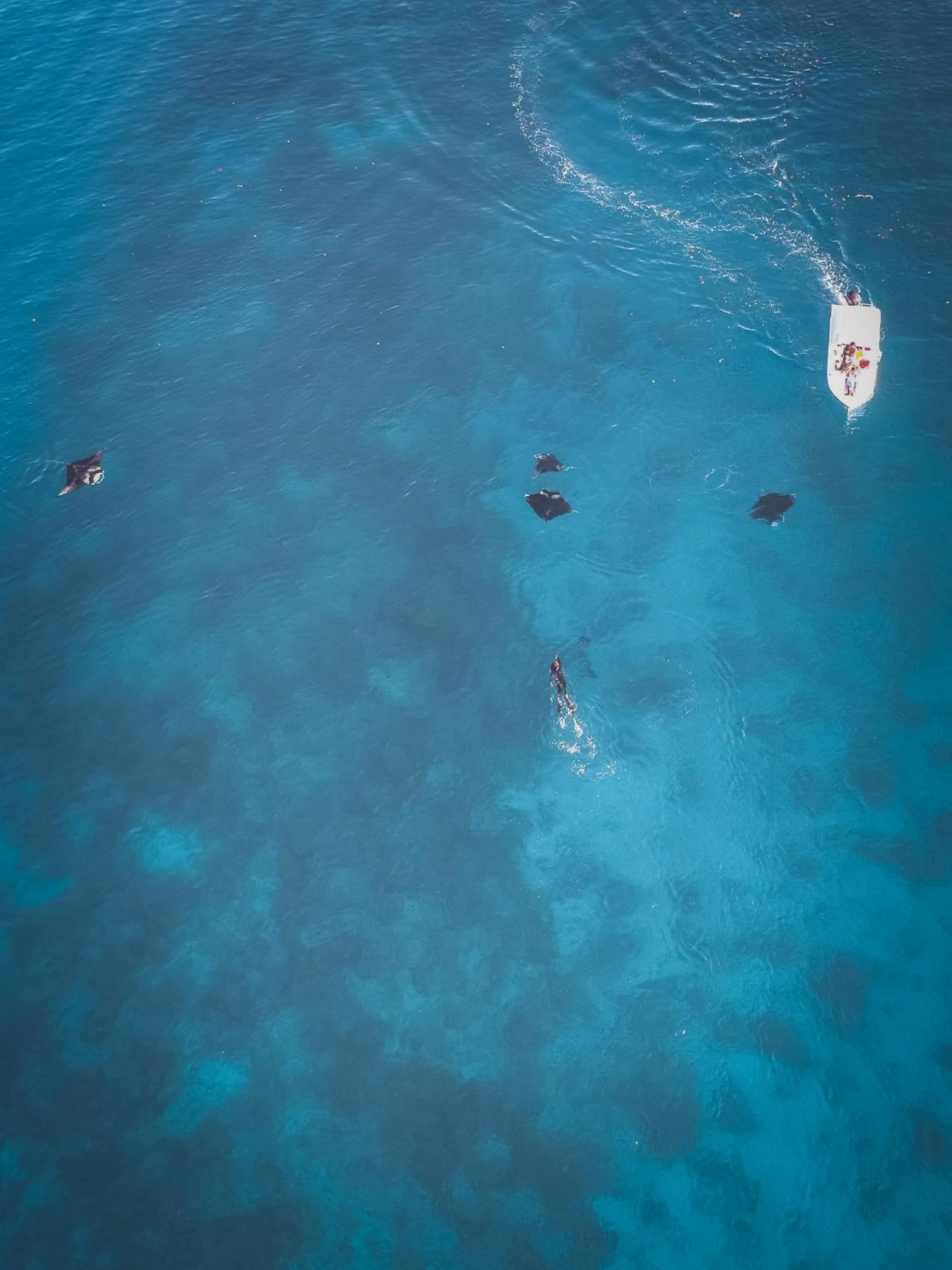 Activities in Shallow Lagoon Rasdhoo