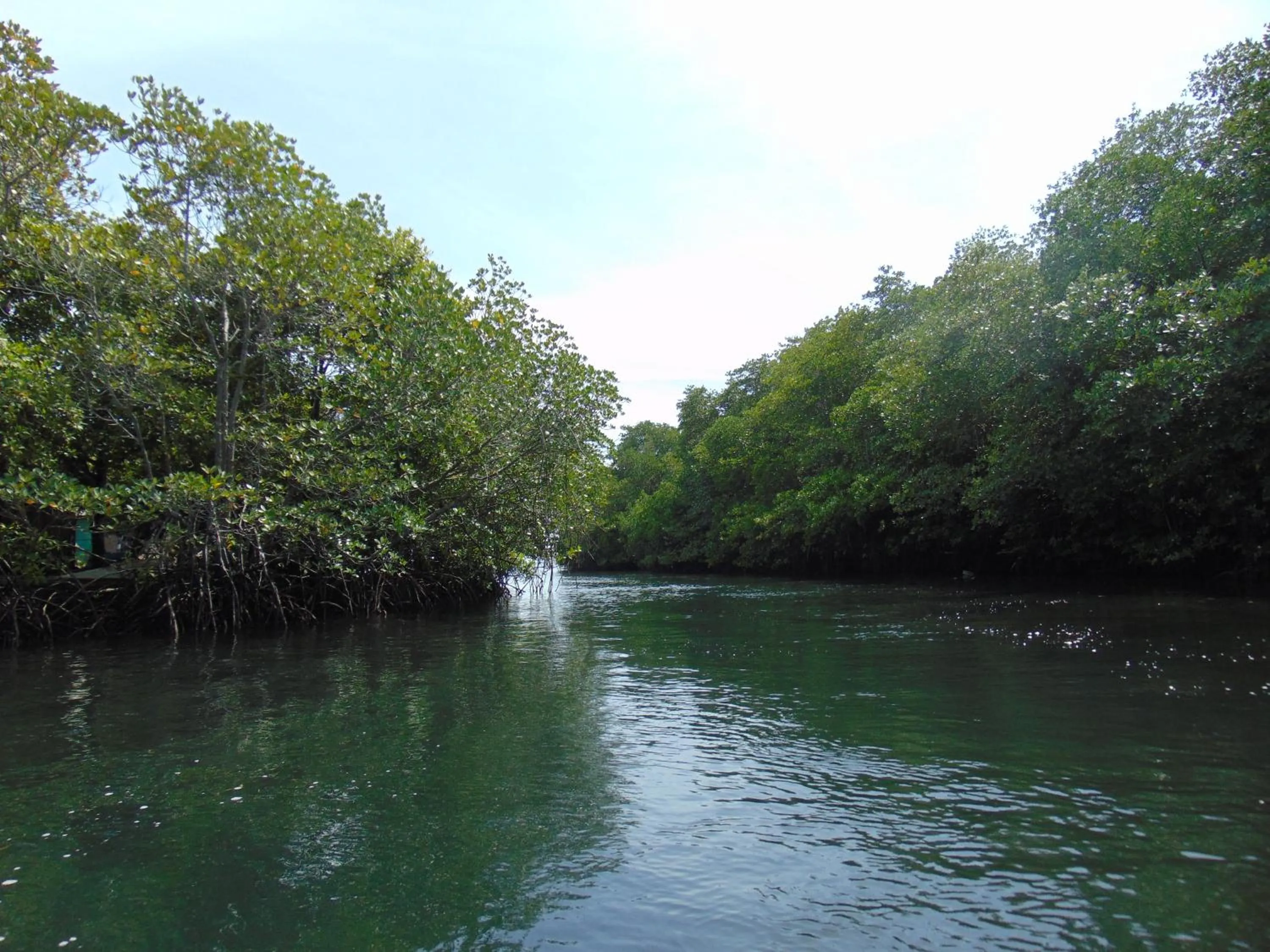 Nearby landmark in Starfish Lembongan