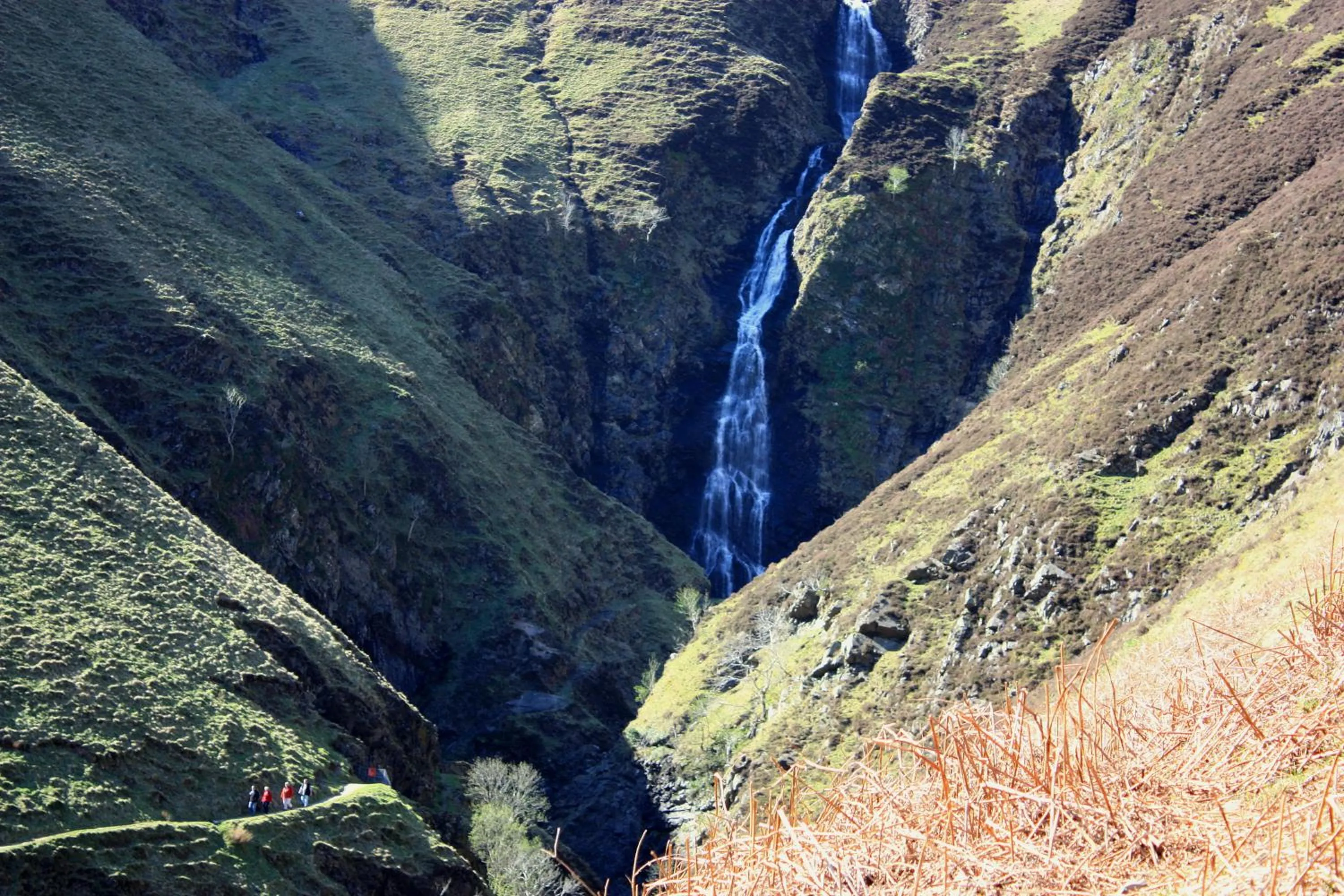 Off site in Annandale Arms Hotel