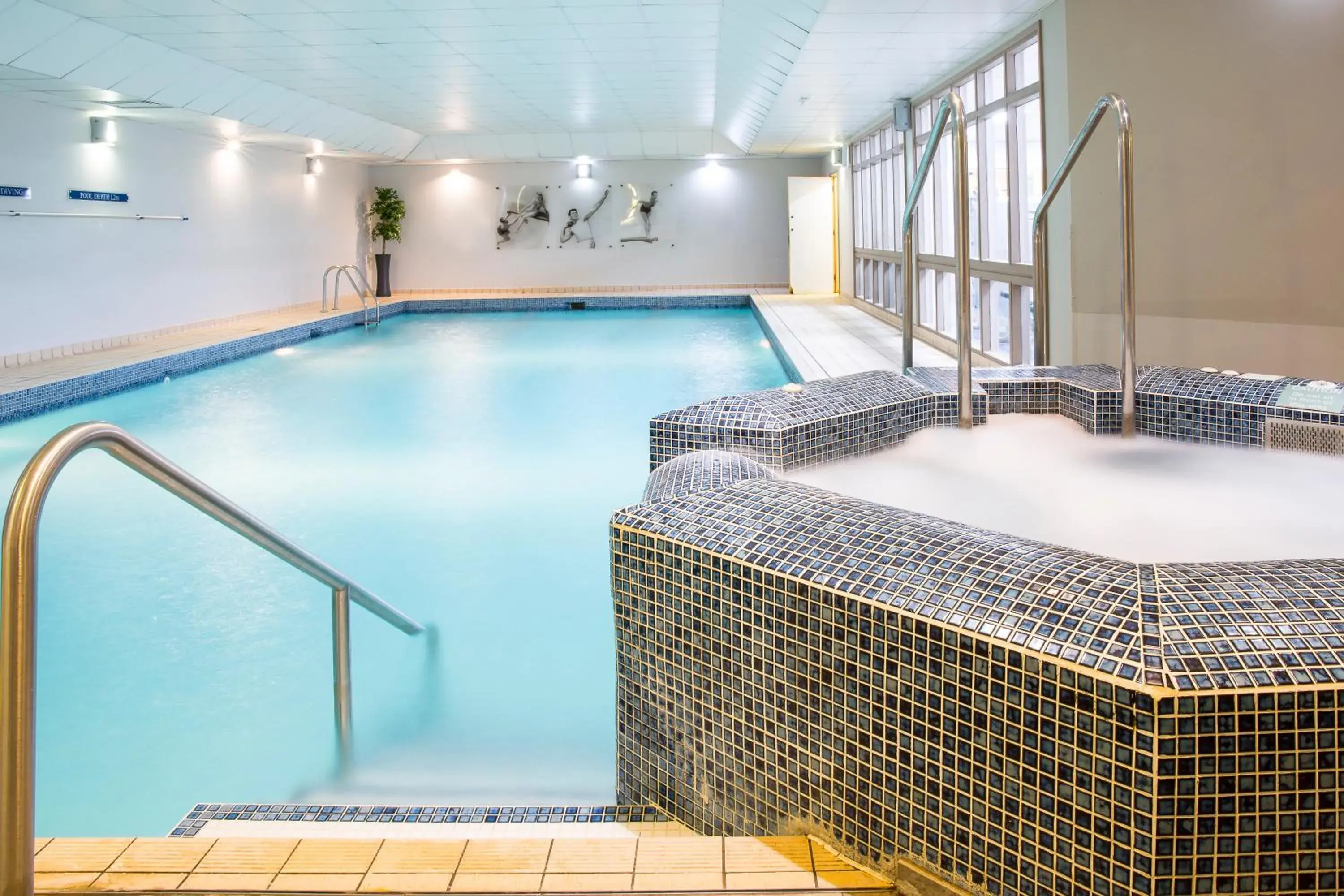 Swimming pool in New Place Swimming pool in New Place