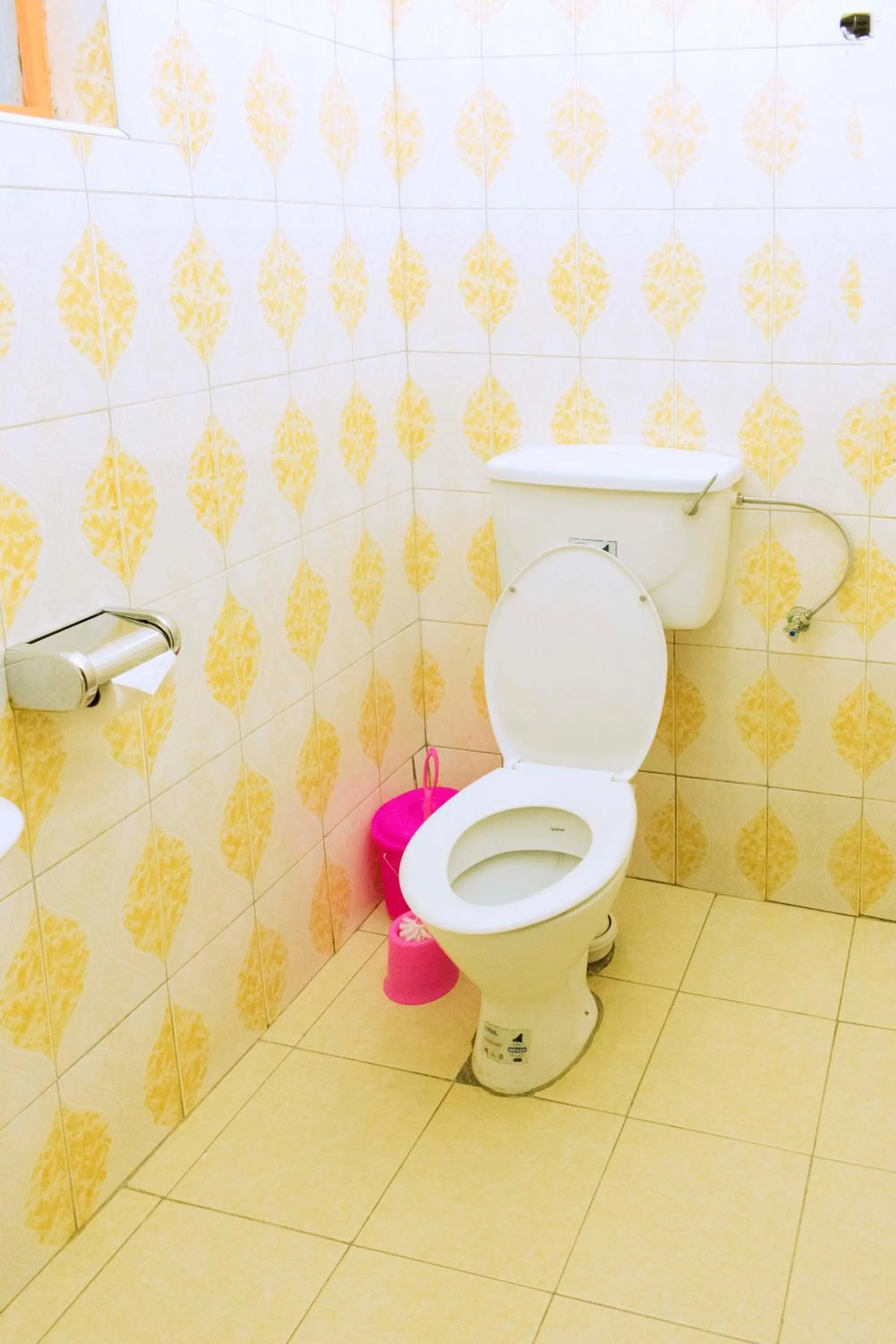 Toilet in Japs Motel Mbarara