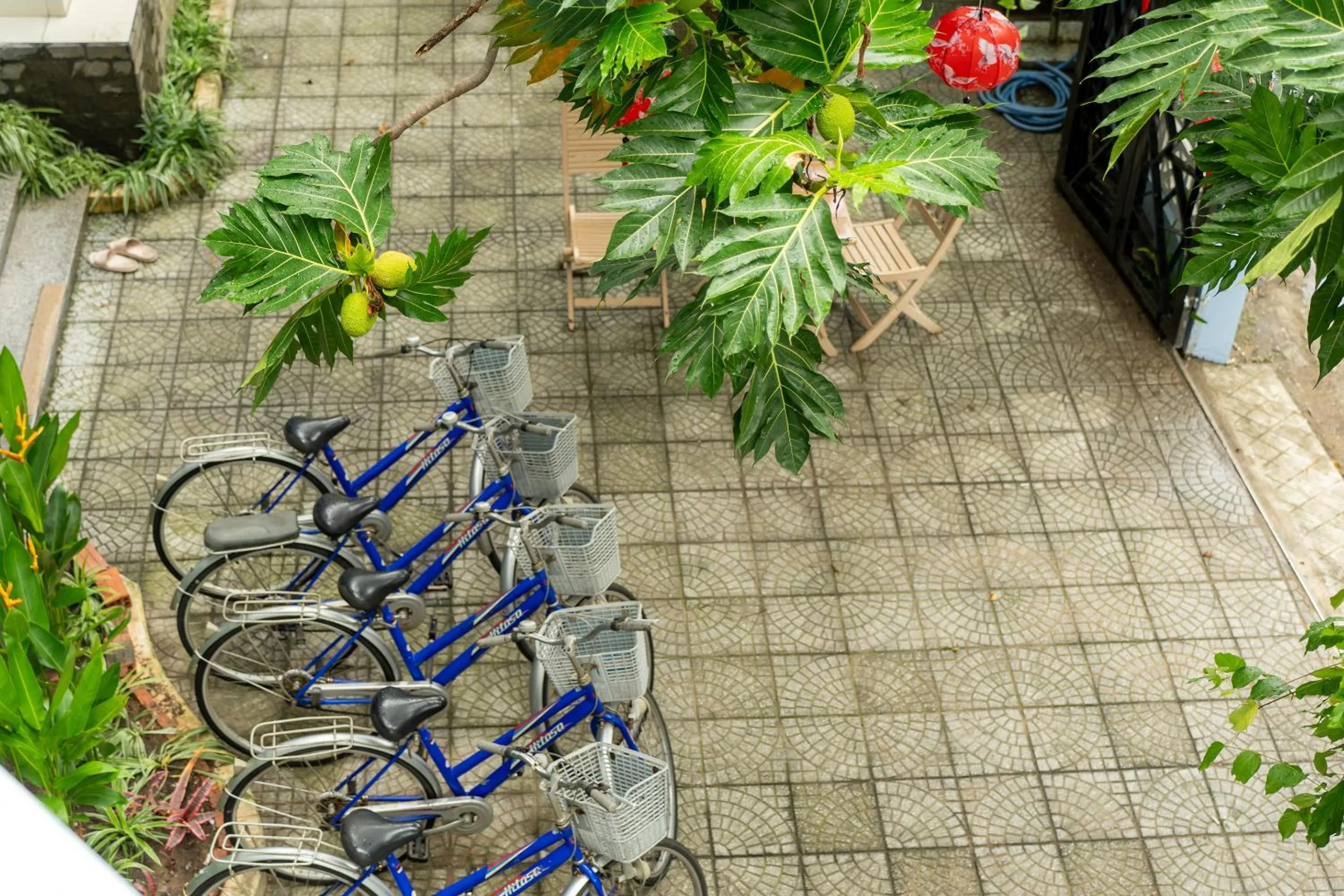 Garden in Smart Garden Homestay