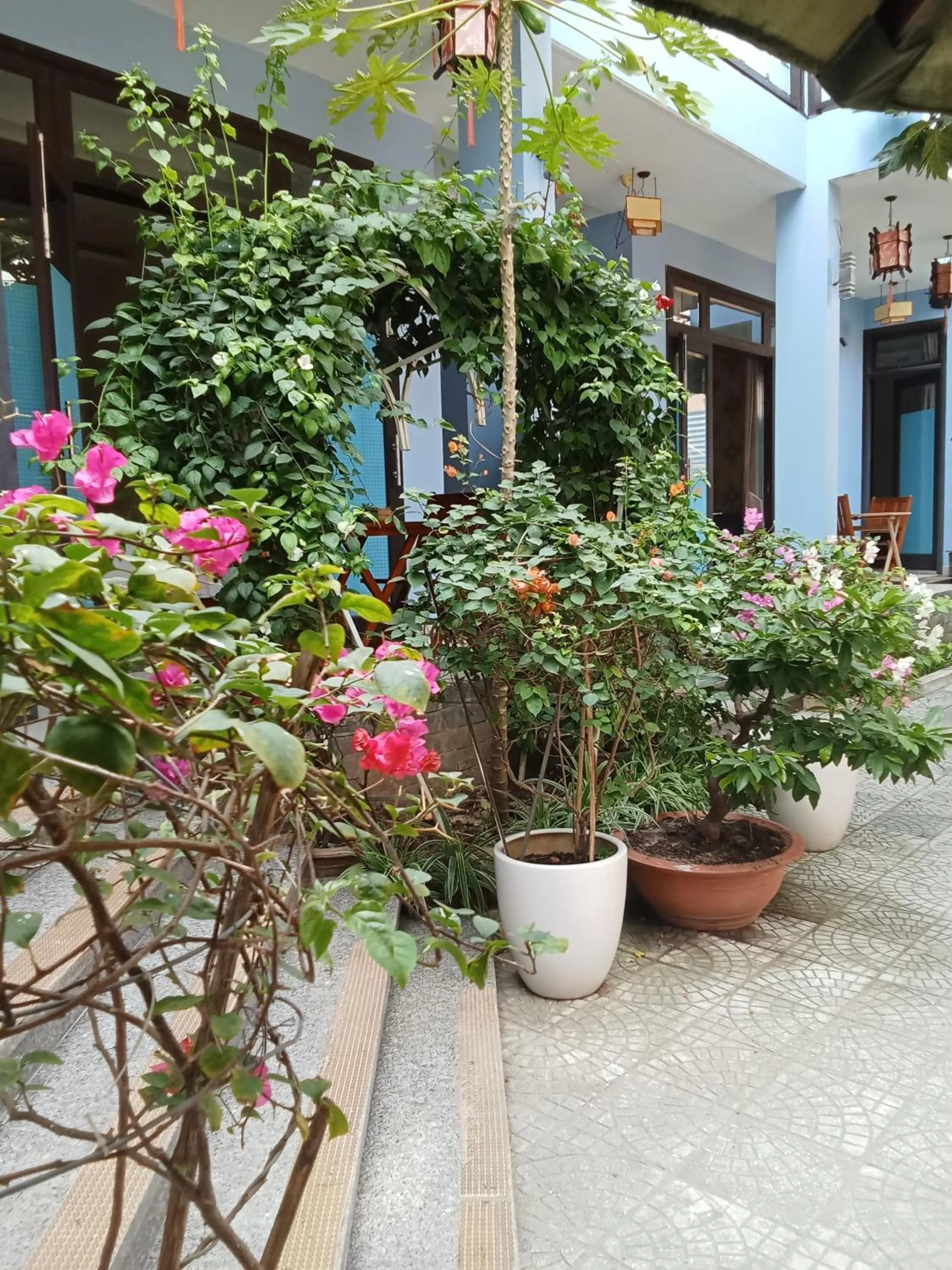 Garden in Smart Garden Homestay