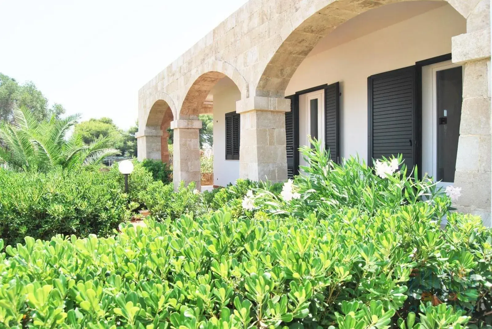 Villa di Nesco Puglia On line Villa di Nesco Puglia On line