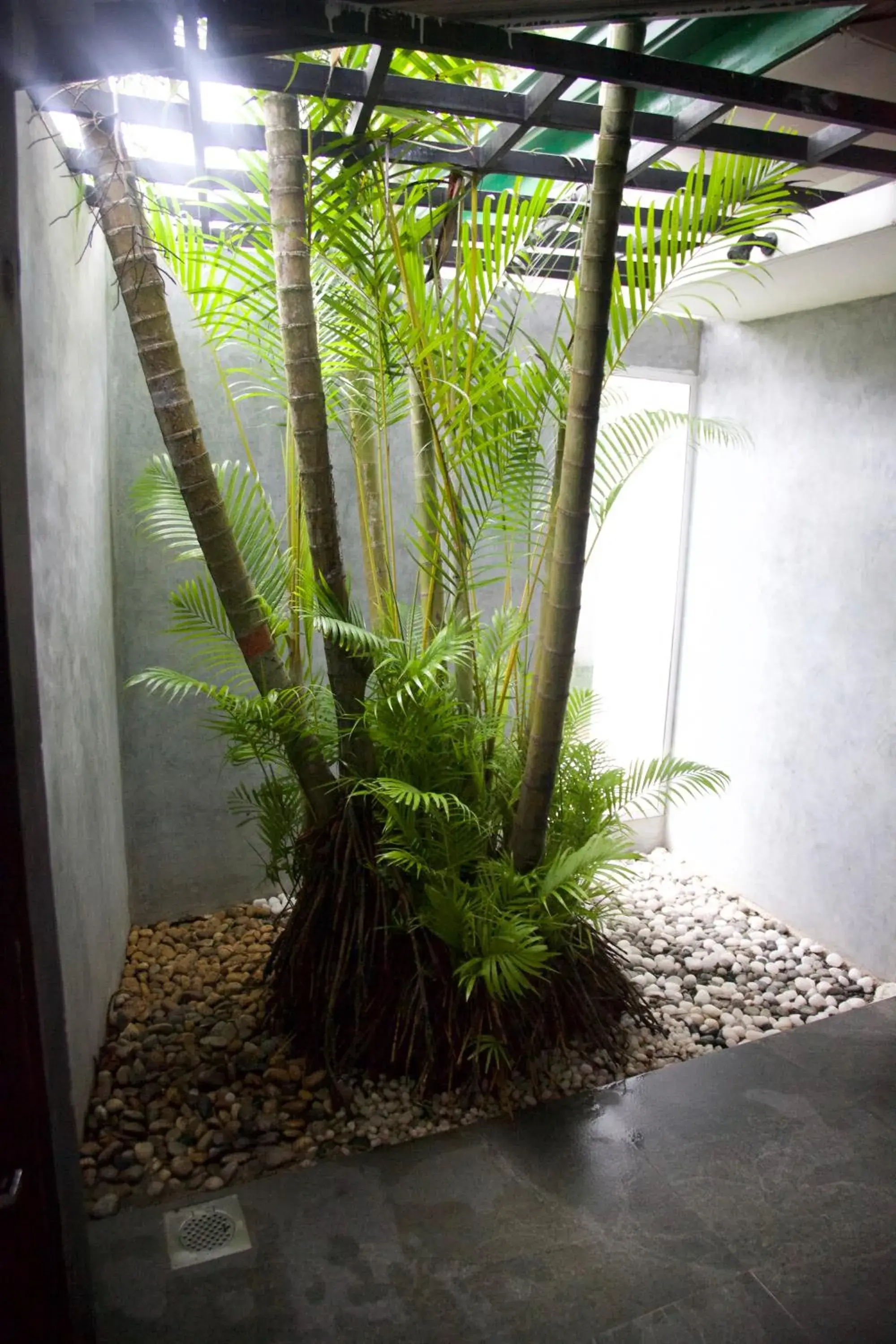 Superior Triple Room - single occupancy in Glamour Mirissa Superior Triple Room - single occupancy in Glamour Mirissa