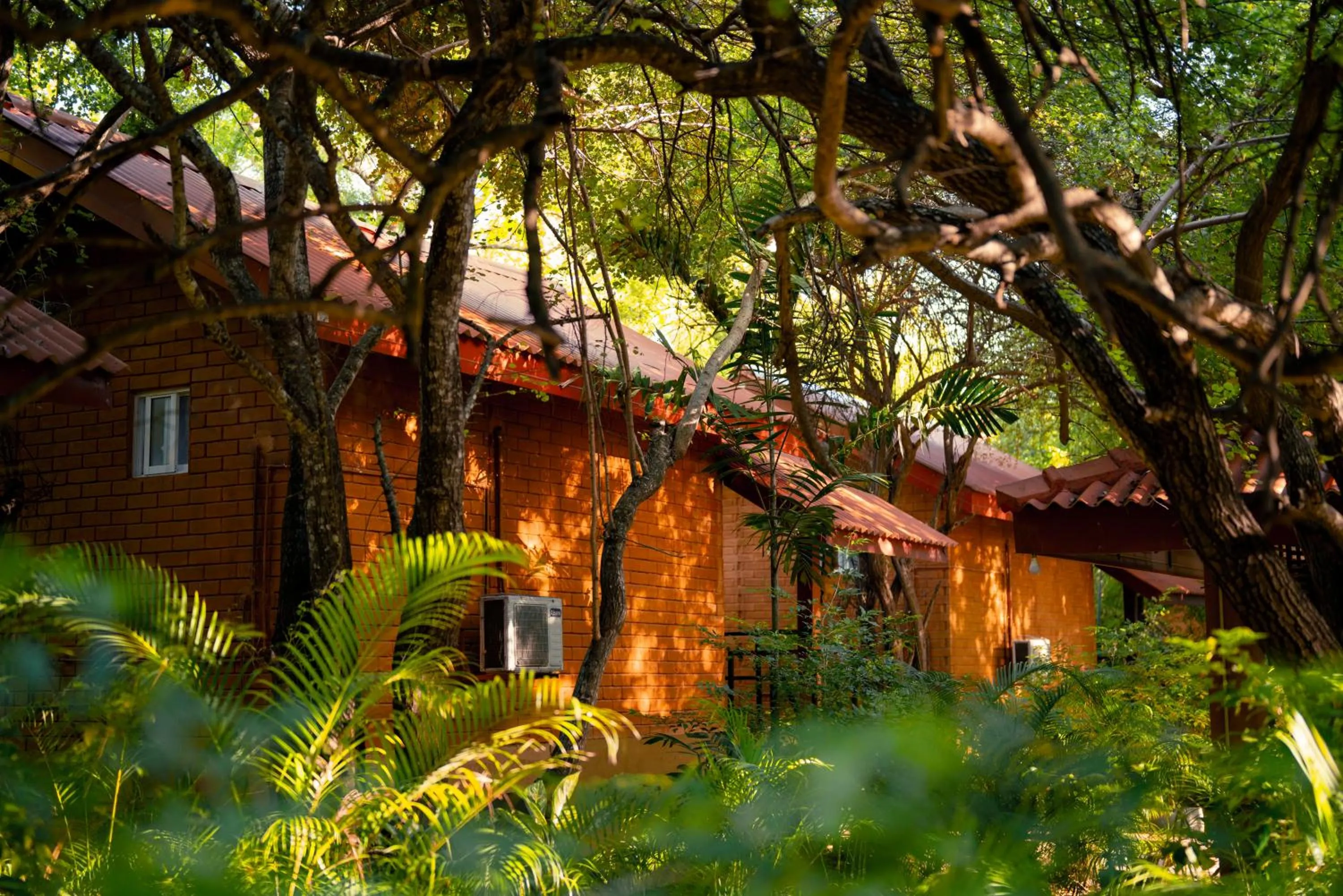 Safari Lodge Yala