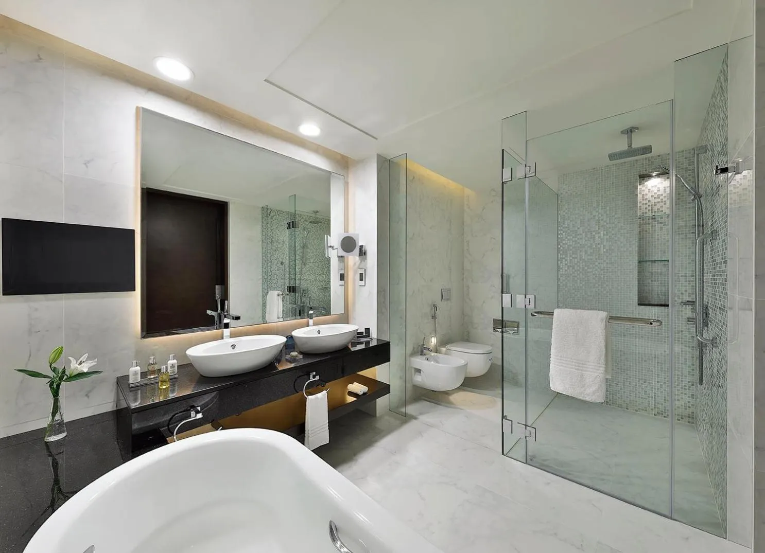 Bathroom in Marriott Hotel Al Forsan, Abu Dhabi