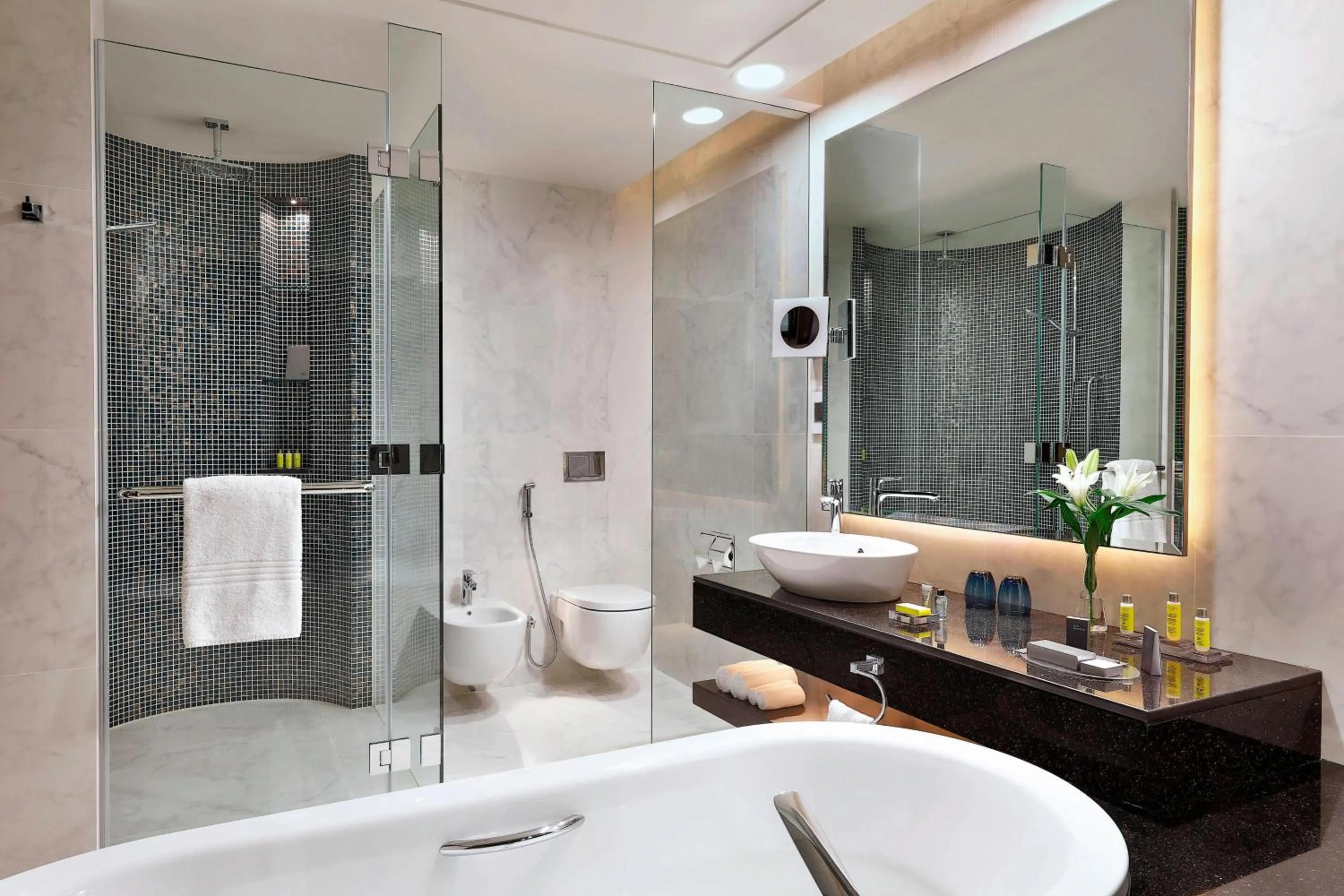 Bathroom in Marriott Hotel Al Forsan, Abu Dhabi