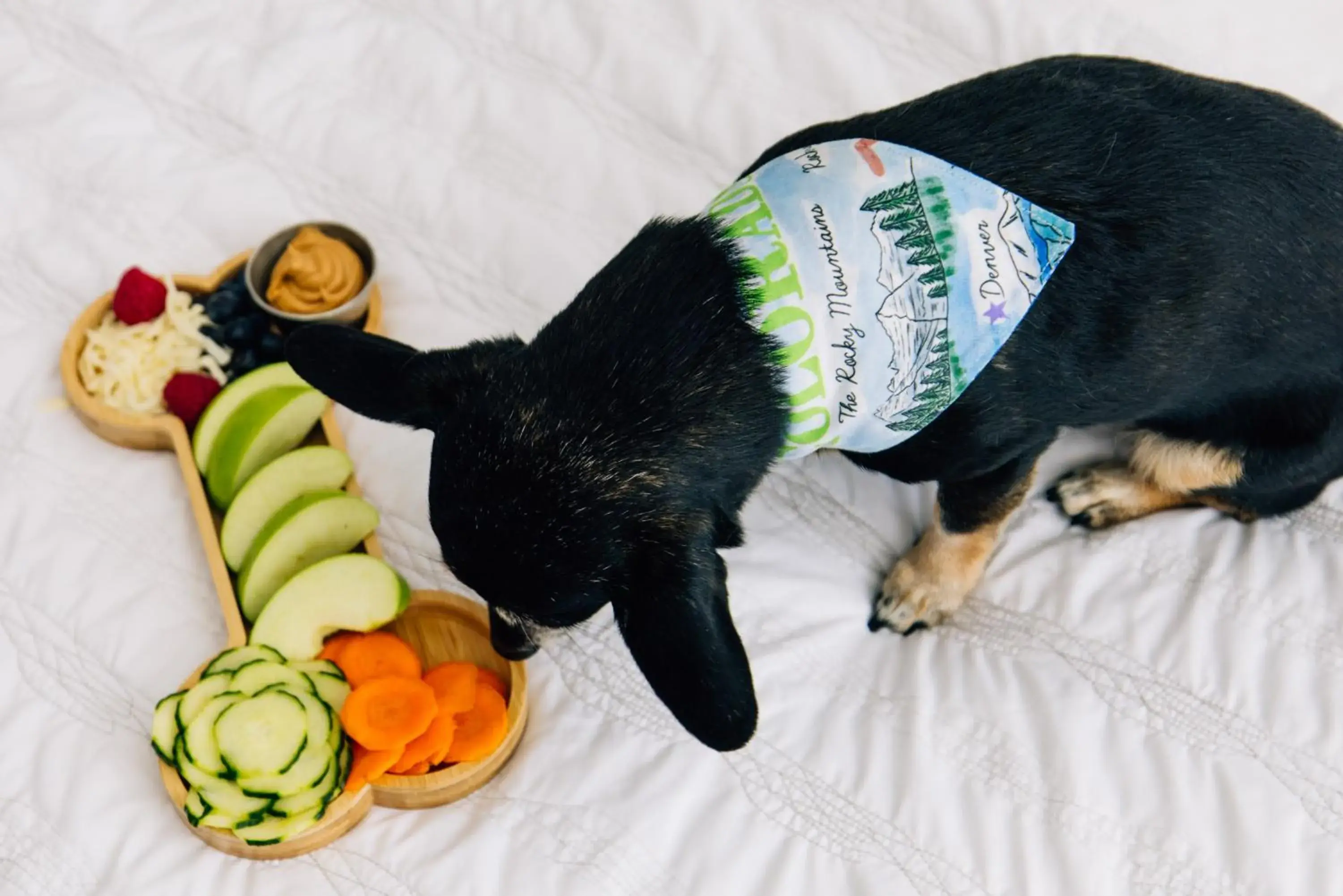 Deluxe King Room in Le Meridien Denver Downtown Deluxe King Room in Le Meridien Denver Downtown