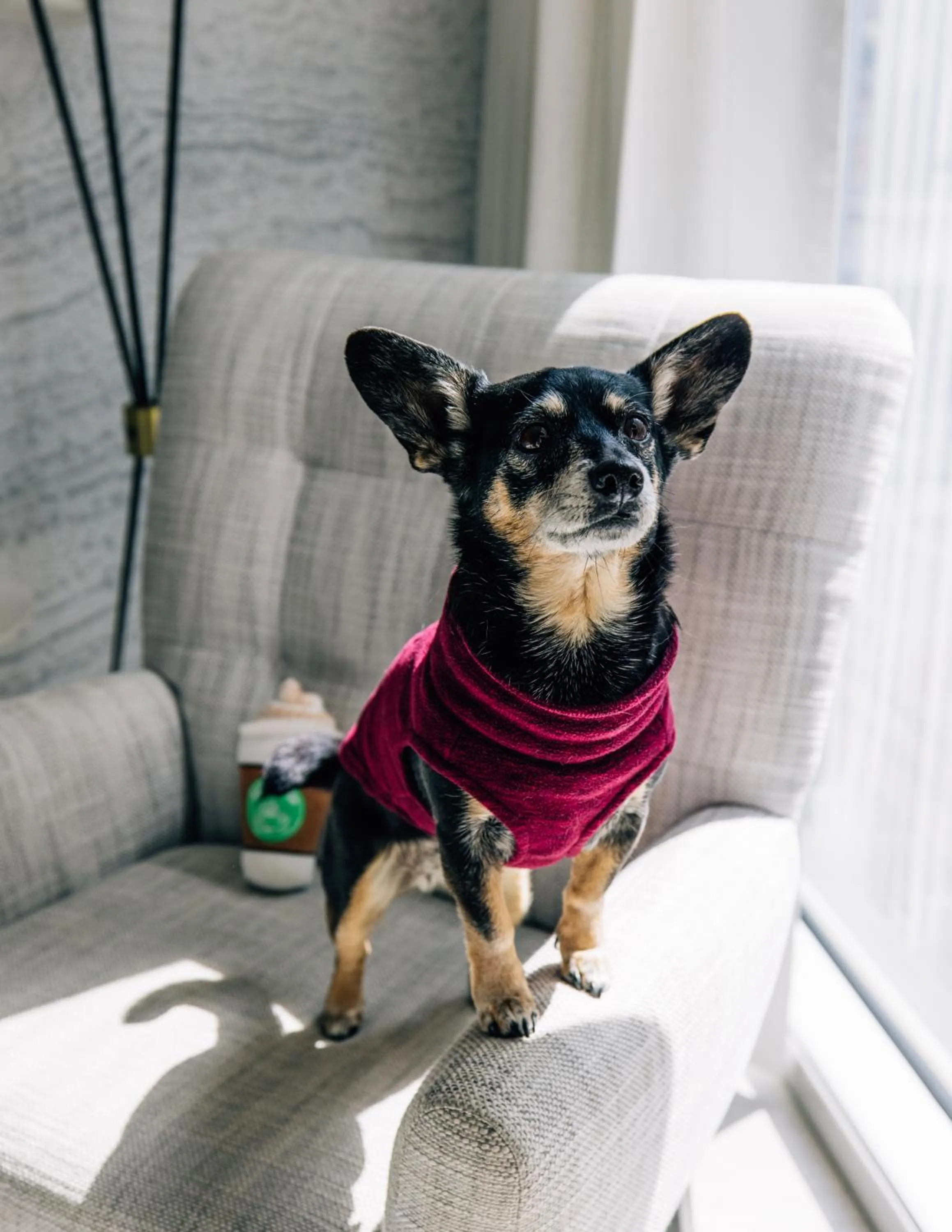 Bedroom in Le Meridien Denver Downtown