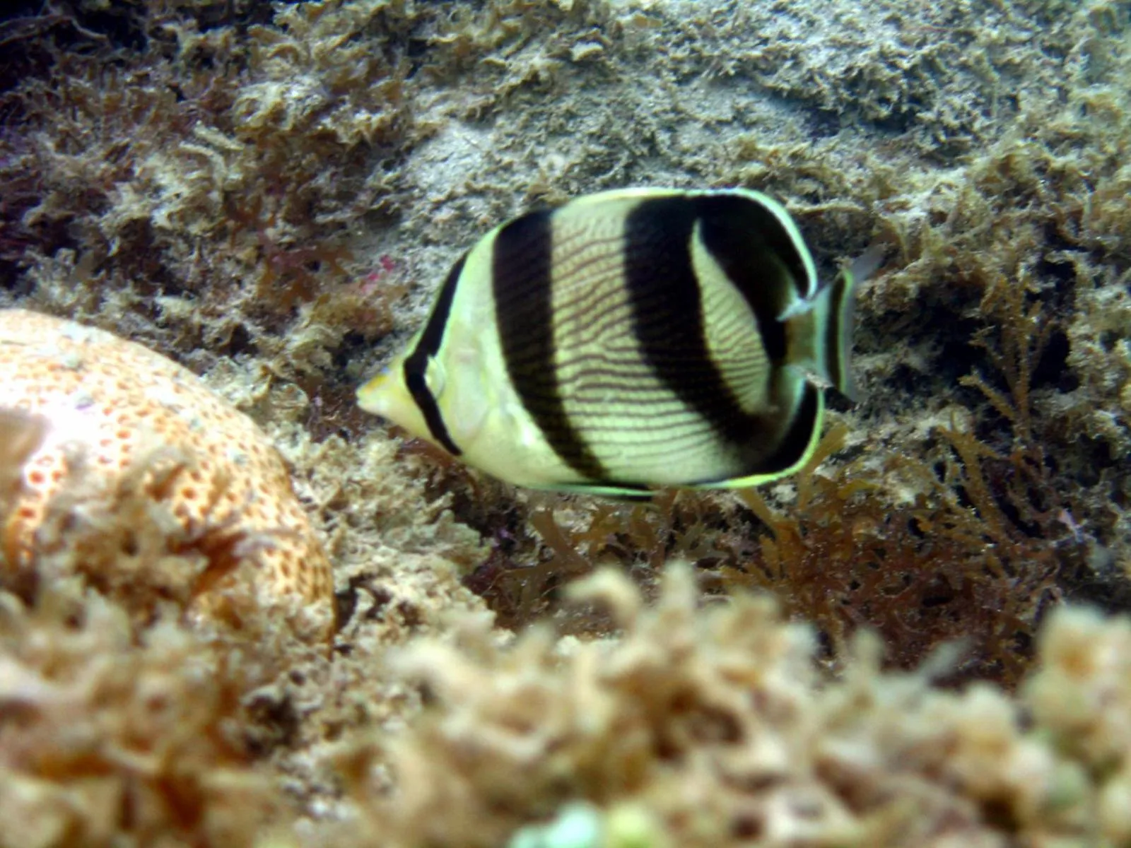 Off site in Pousada Sabrinna