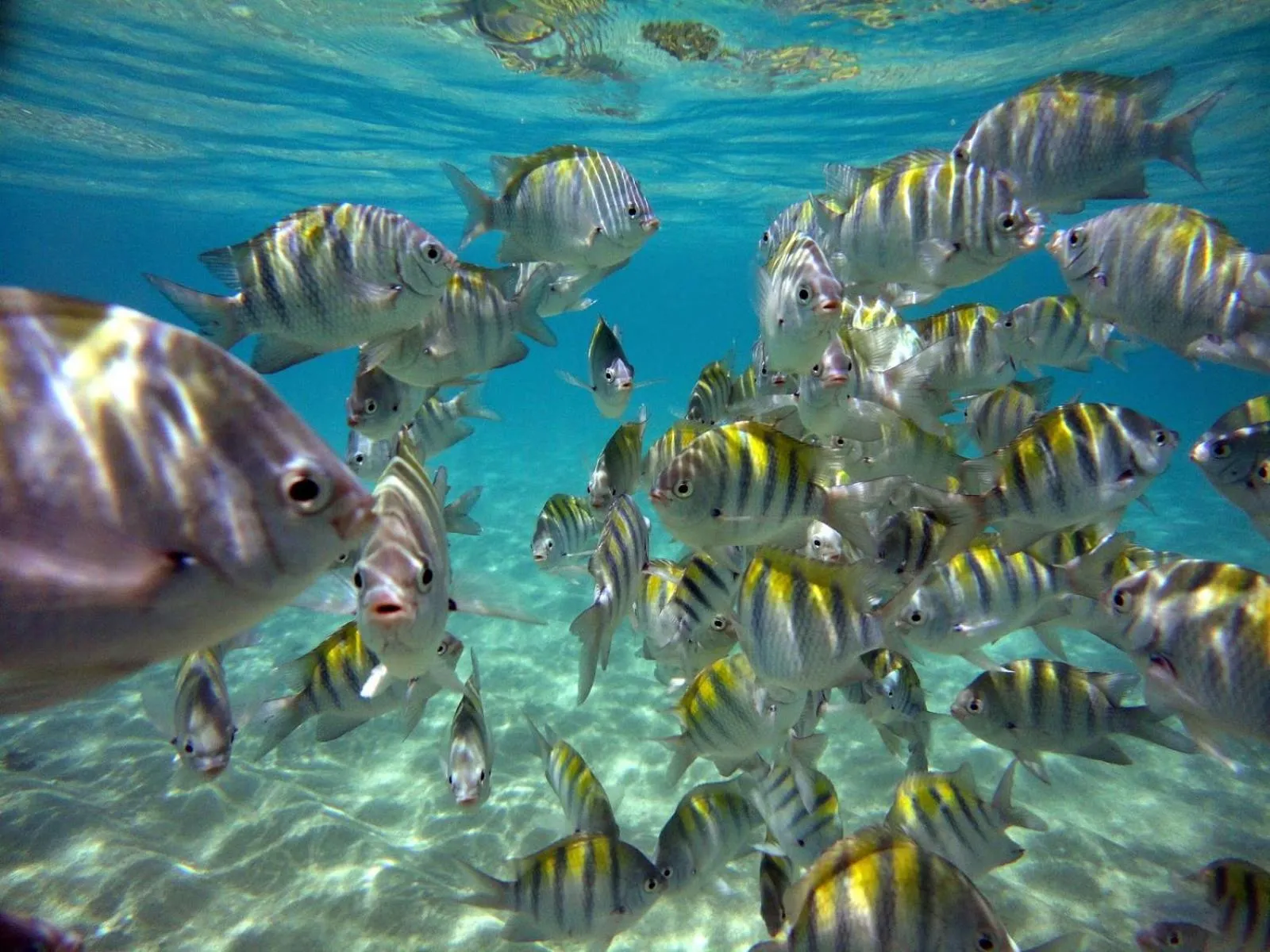 Beach in Pousada Sabrinna
