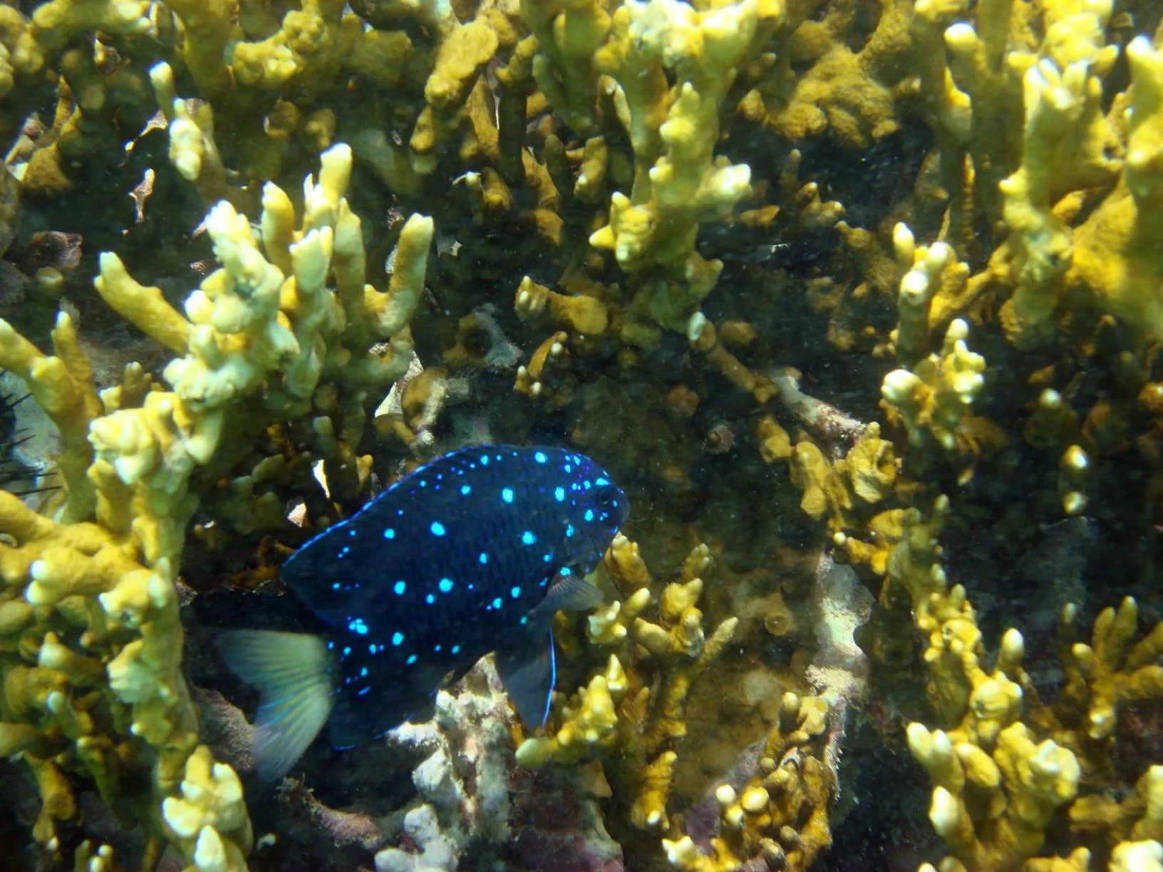 Off site in Pousada Sabrinna