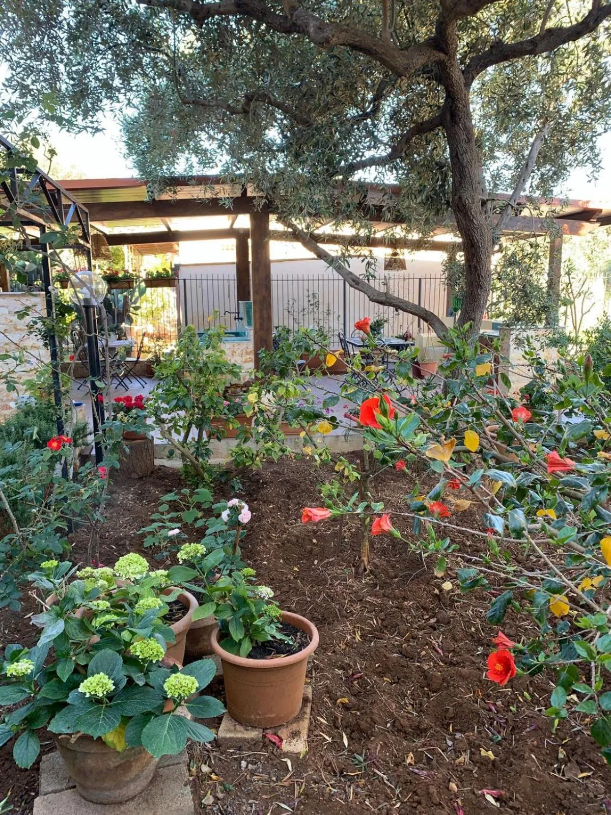 Garden view in Green Garden 2017