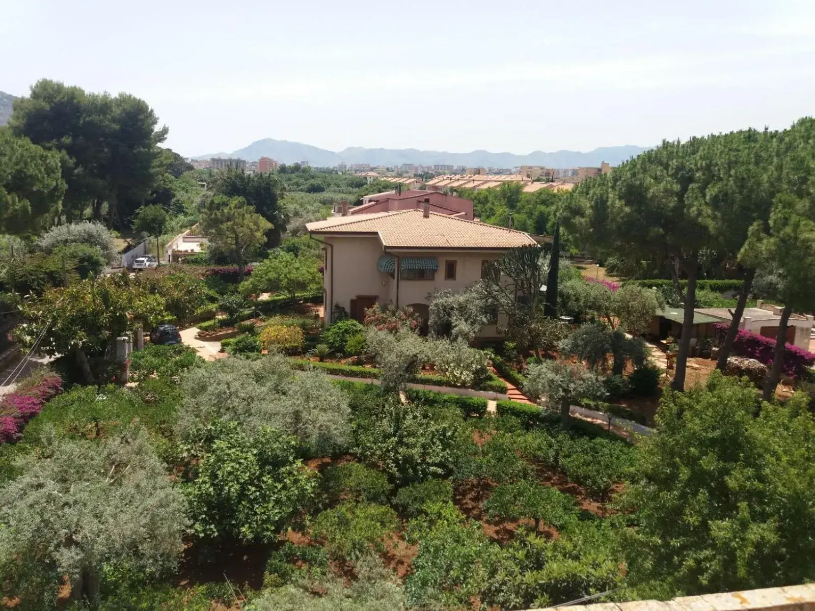 Green Garden 2017 Green Garden 2017