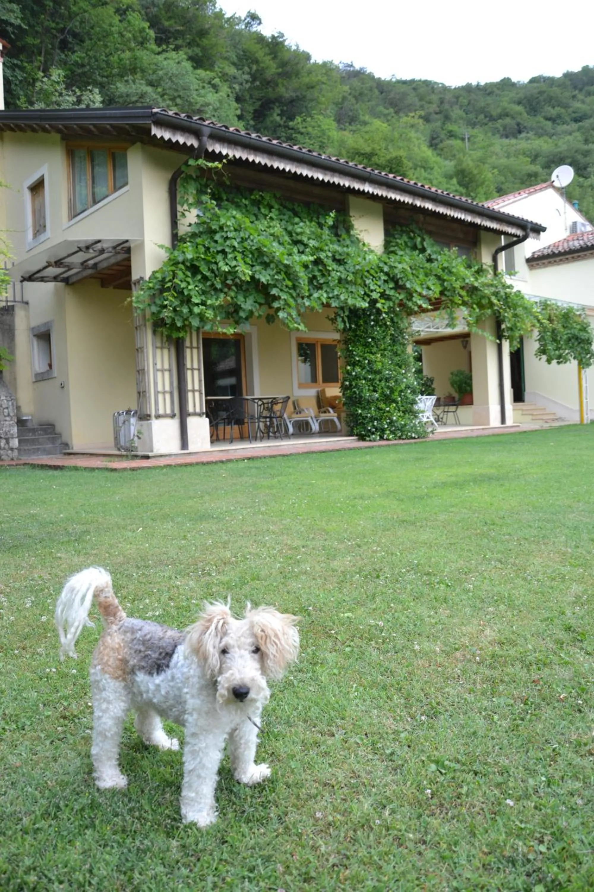 B&B Ca' dell'Ortolan