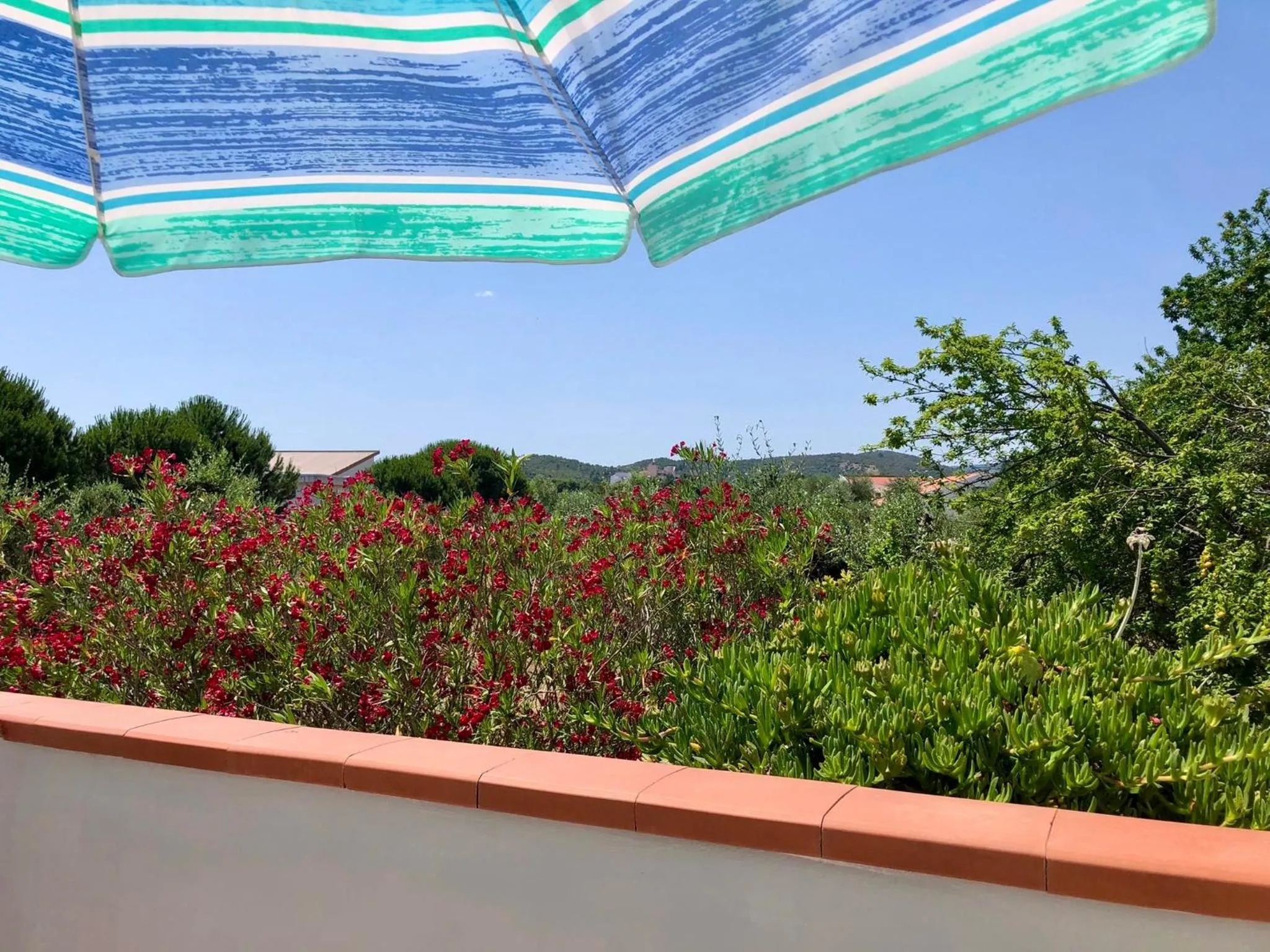 Garden view in Tiglio Vieste