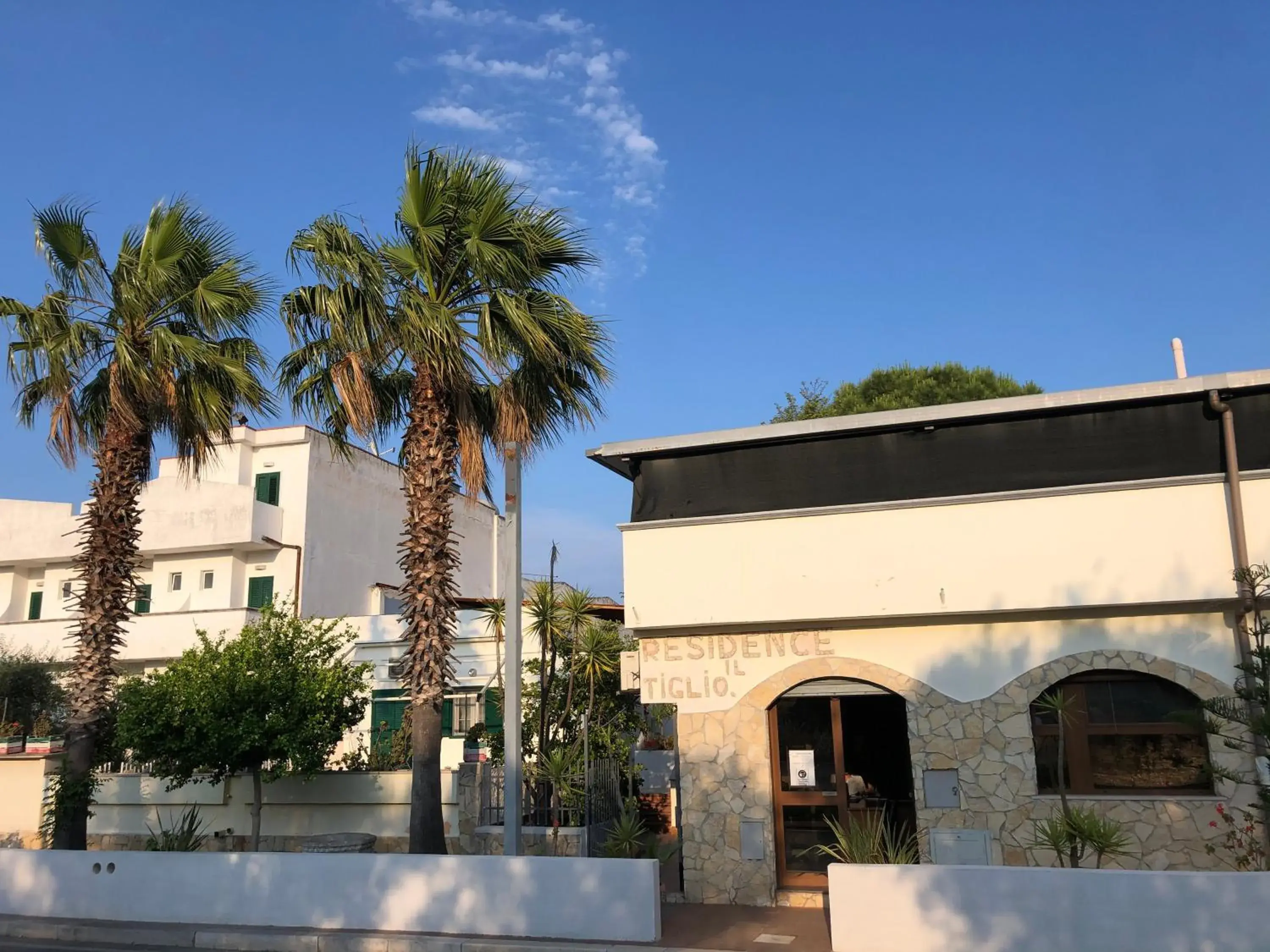 Tiglio Vieste Tiglio Vieste