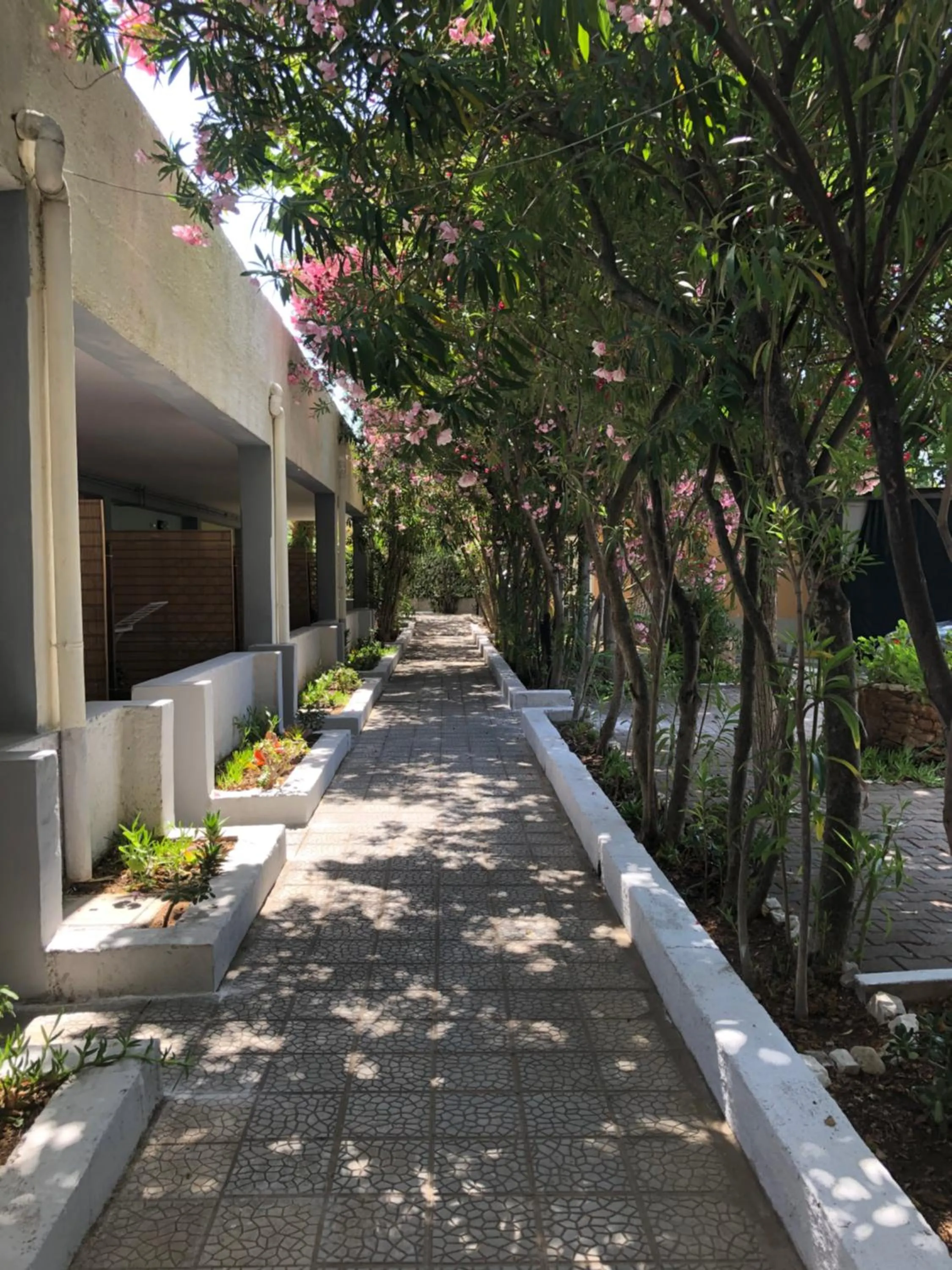 Garden in Tiglio Vieste