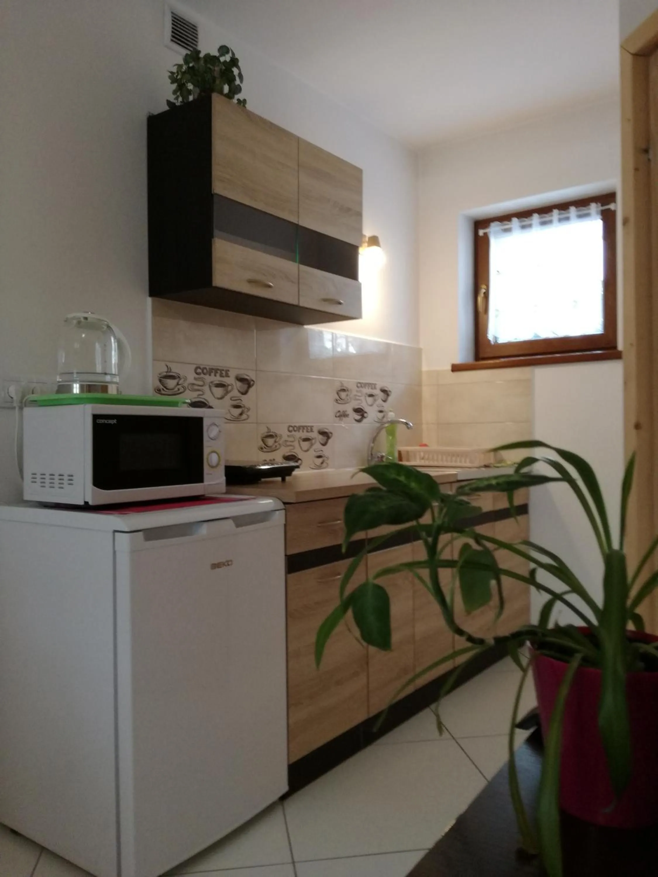 Kitchen or kitchenette in Apartamenty U Samków