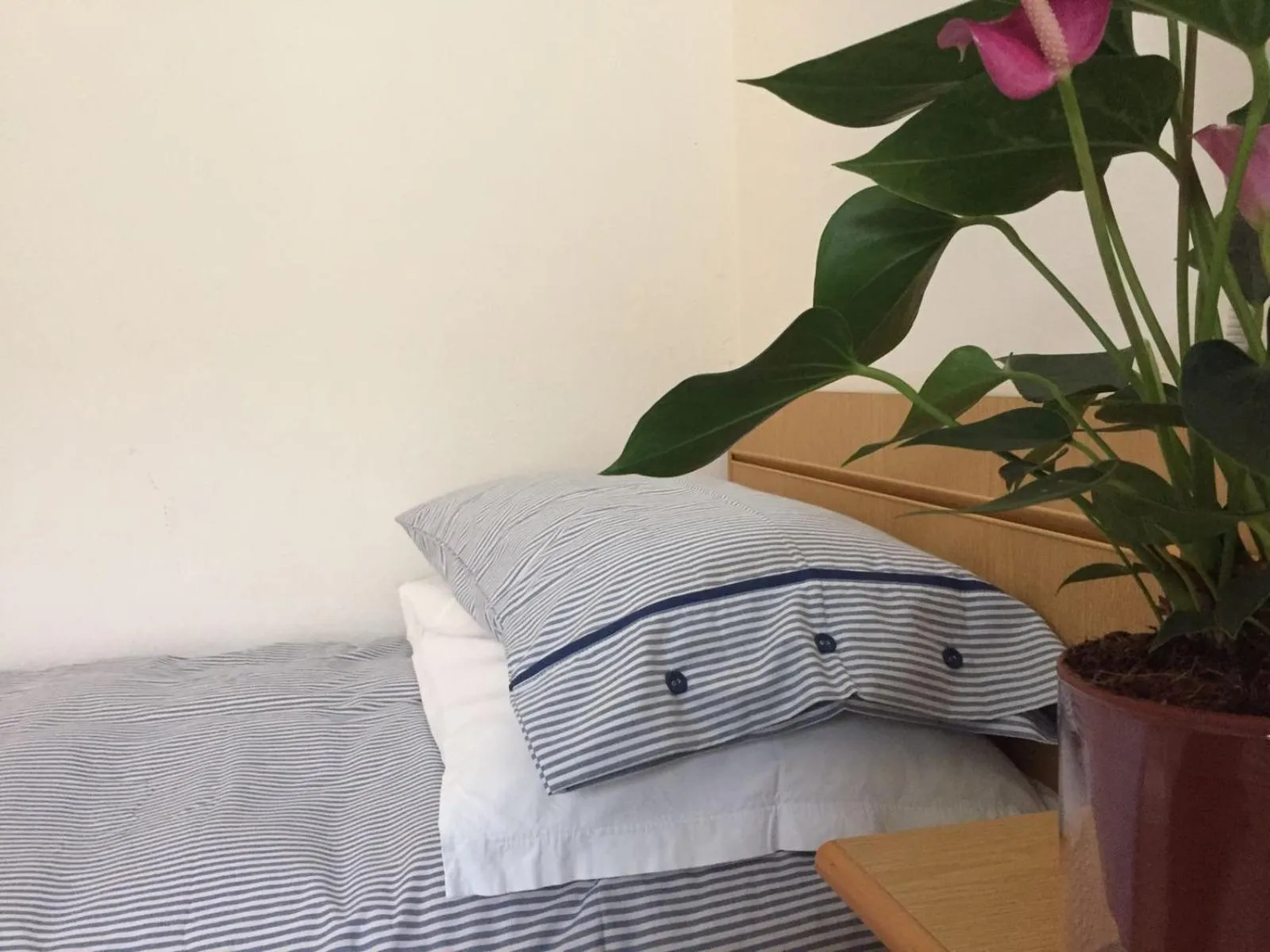 Bed in Hotel Riziana