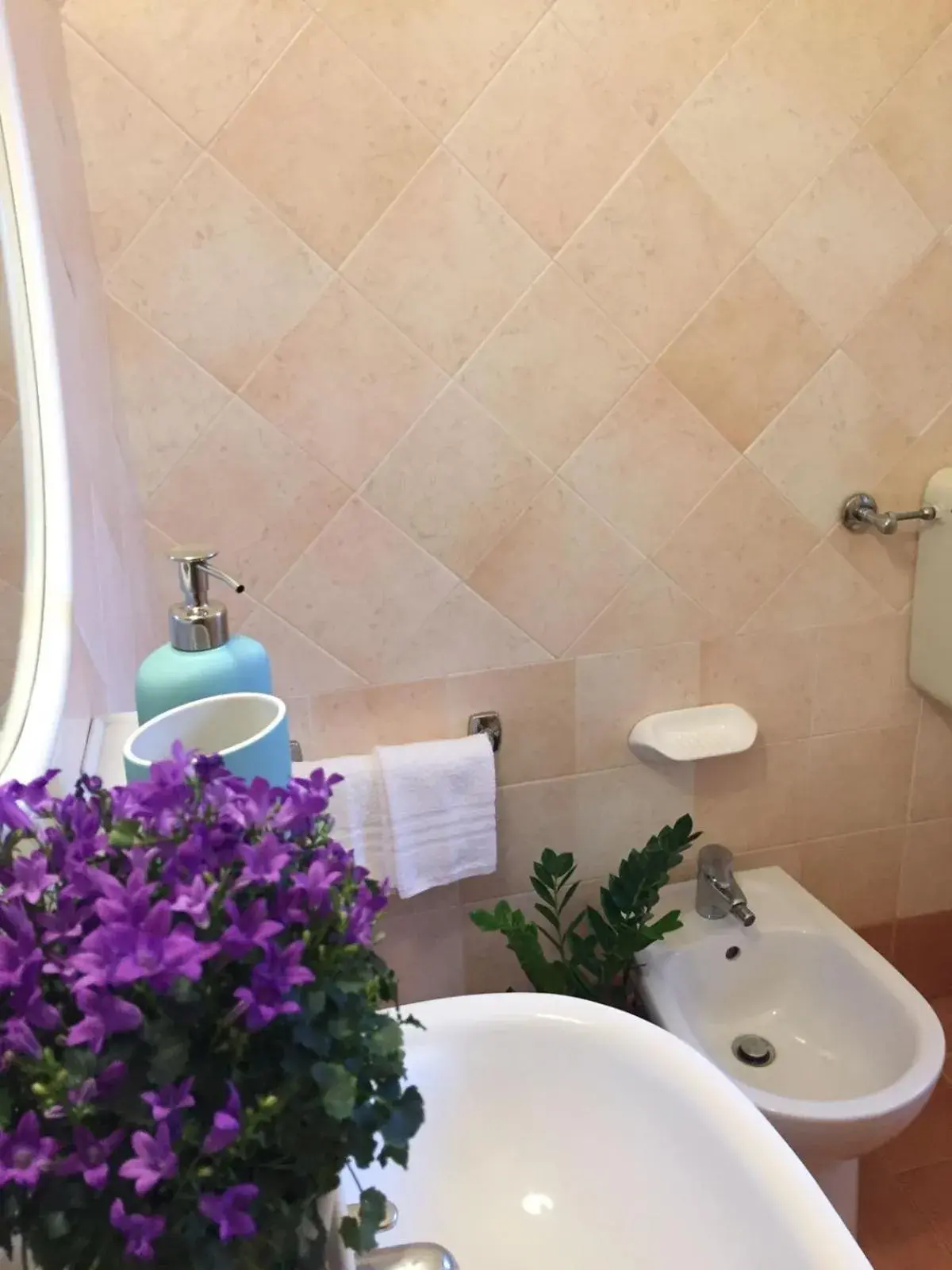 Bathroom in Hotel Riziana