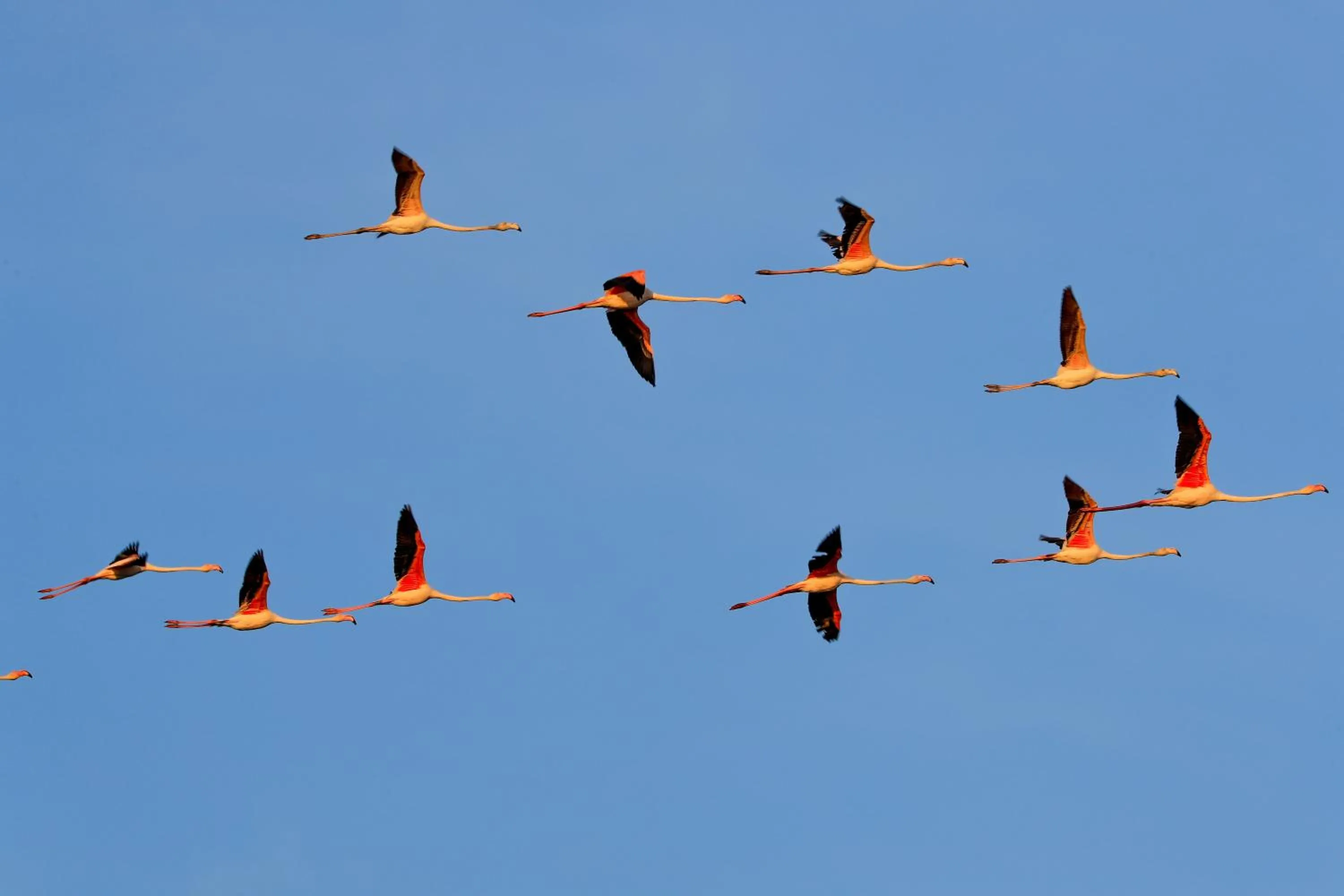 Nearby landmark in Hotel Riziana