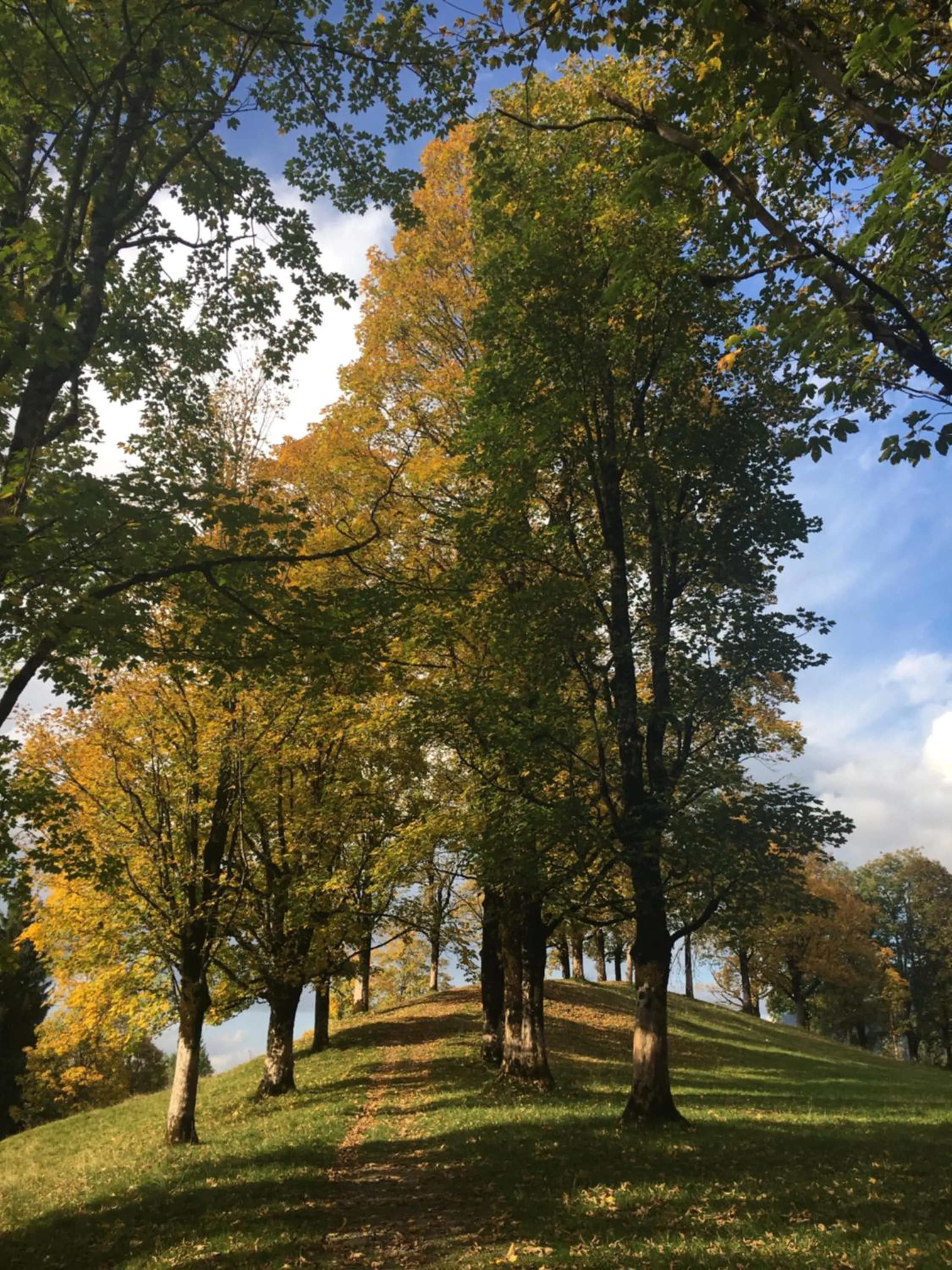 Natural landscape in Ferienwohnungen Alpentraum - Landhaus am Bächle
