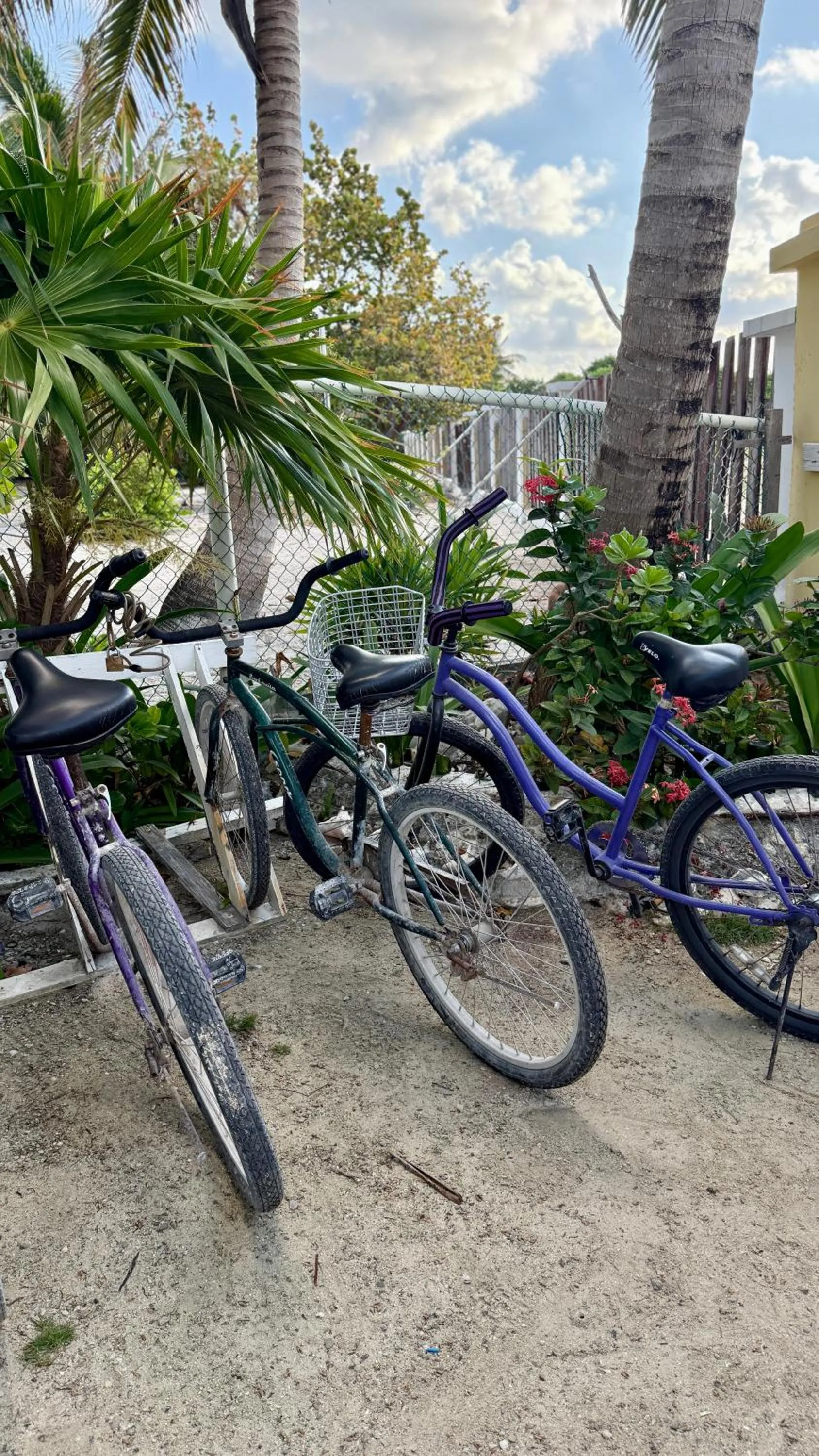 Cycling in The Novelo