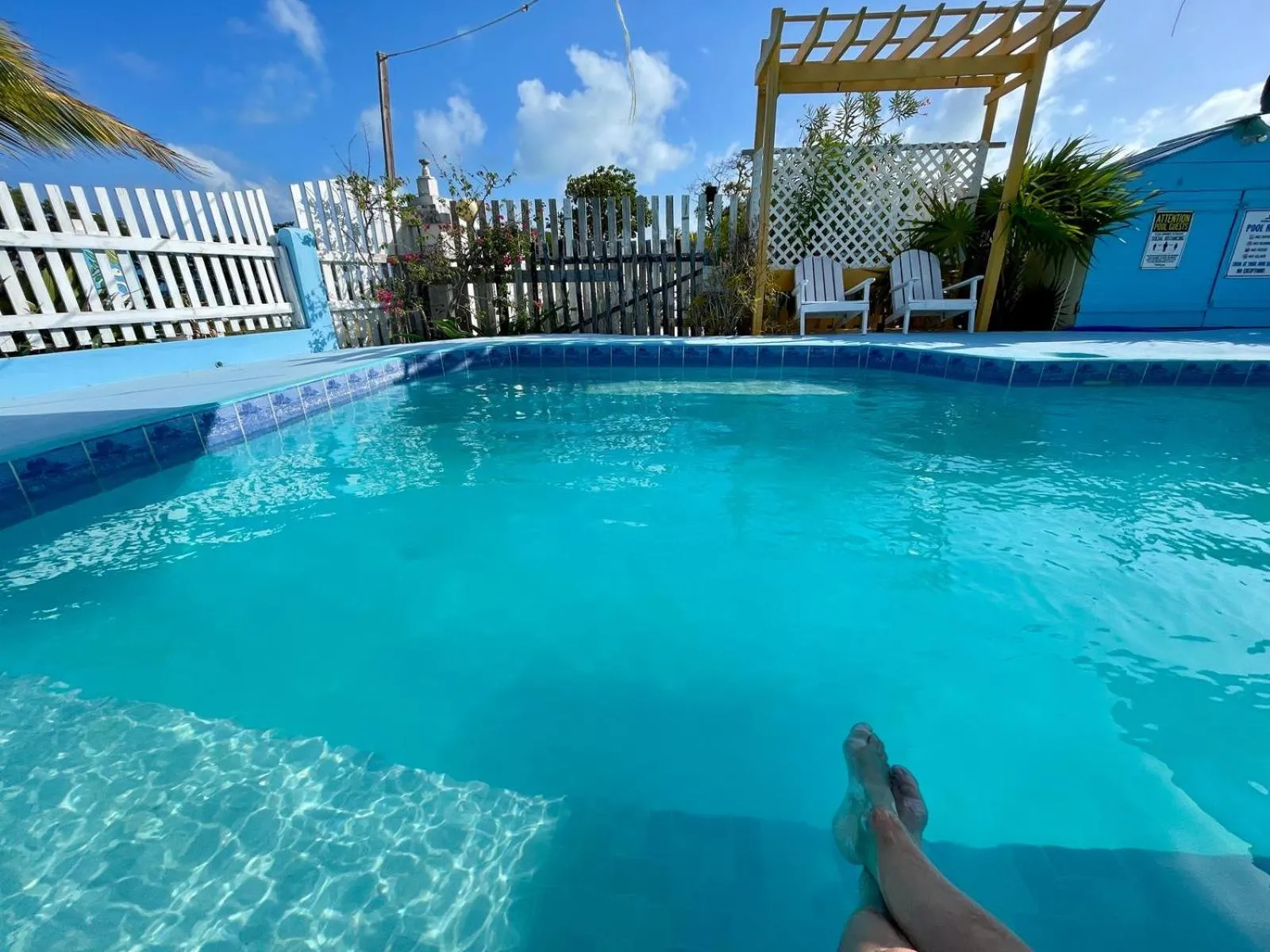 Swimming pool in The Novelo
