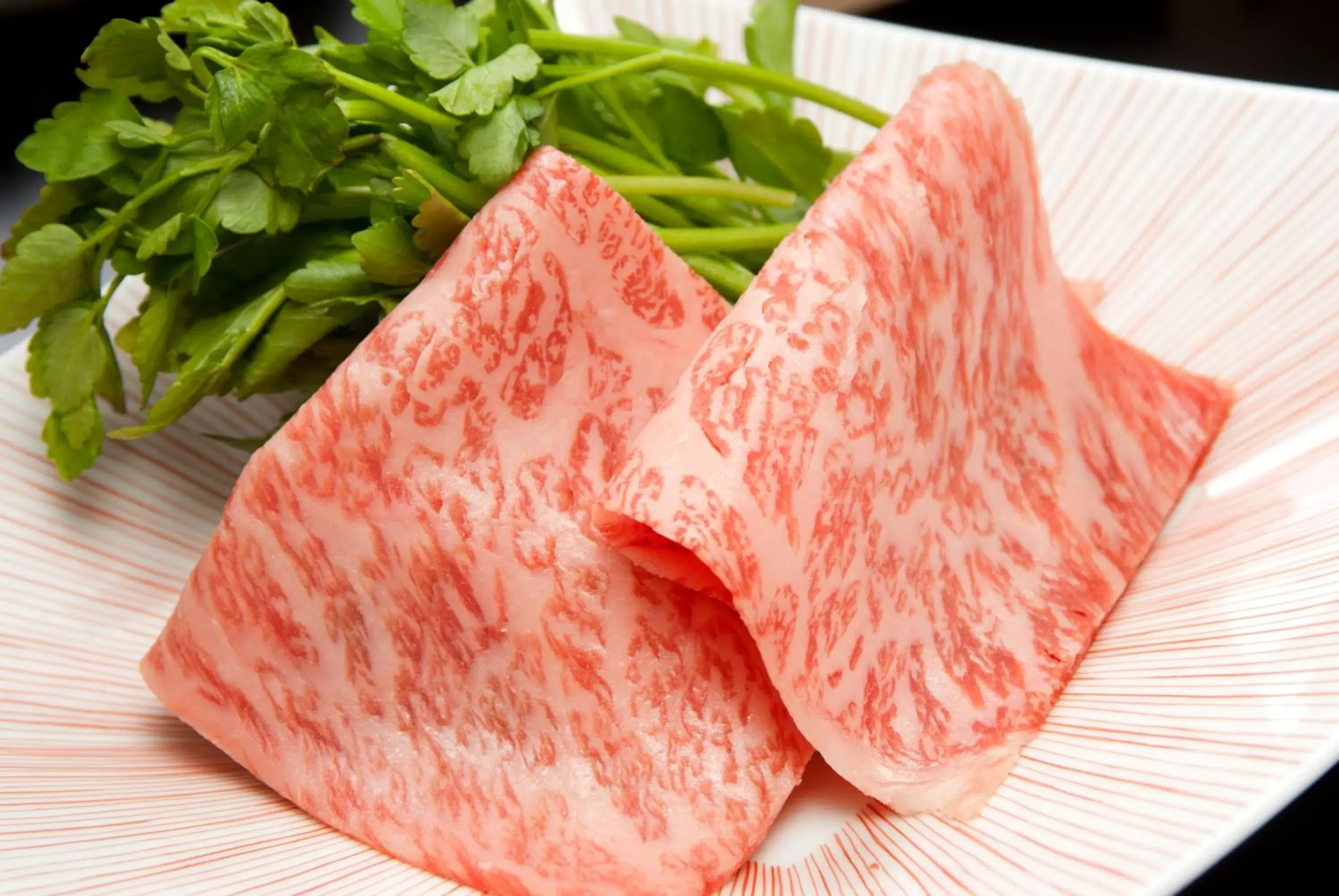 Food close-up in 旅館かわな -Ryokan Kawana- Food close-up in 旅館かわな -Ryokan Kawana-