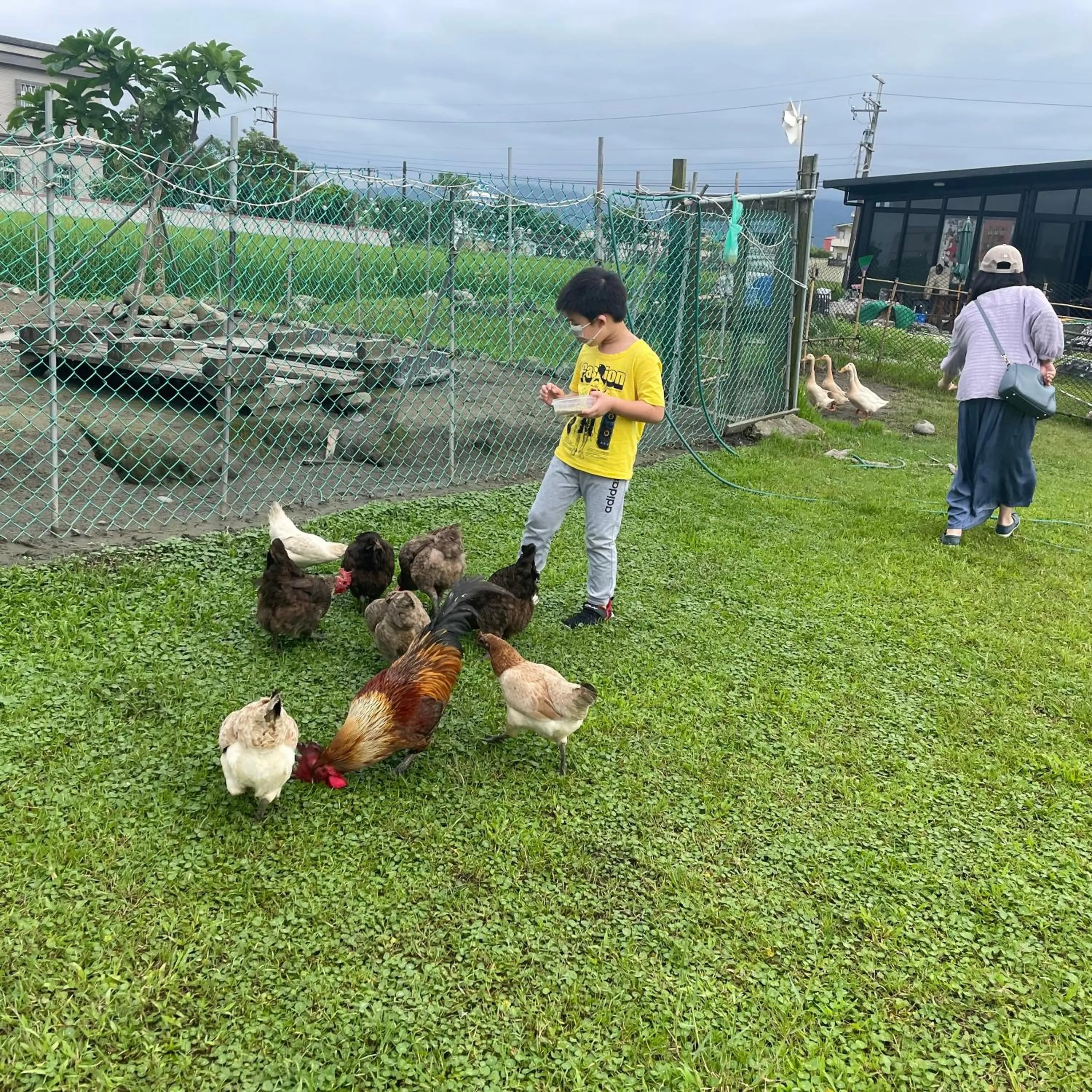 People in Tu Wei 192 Homestay