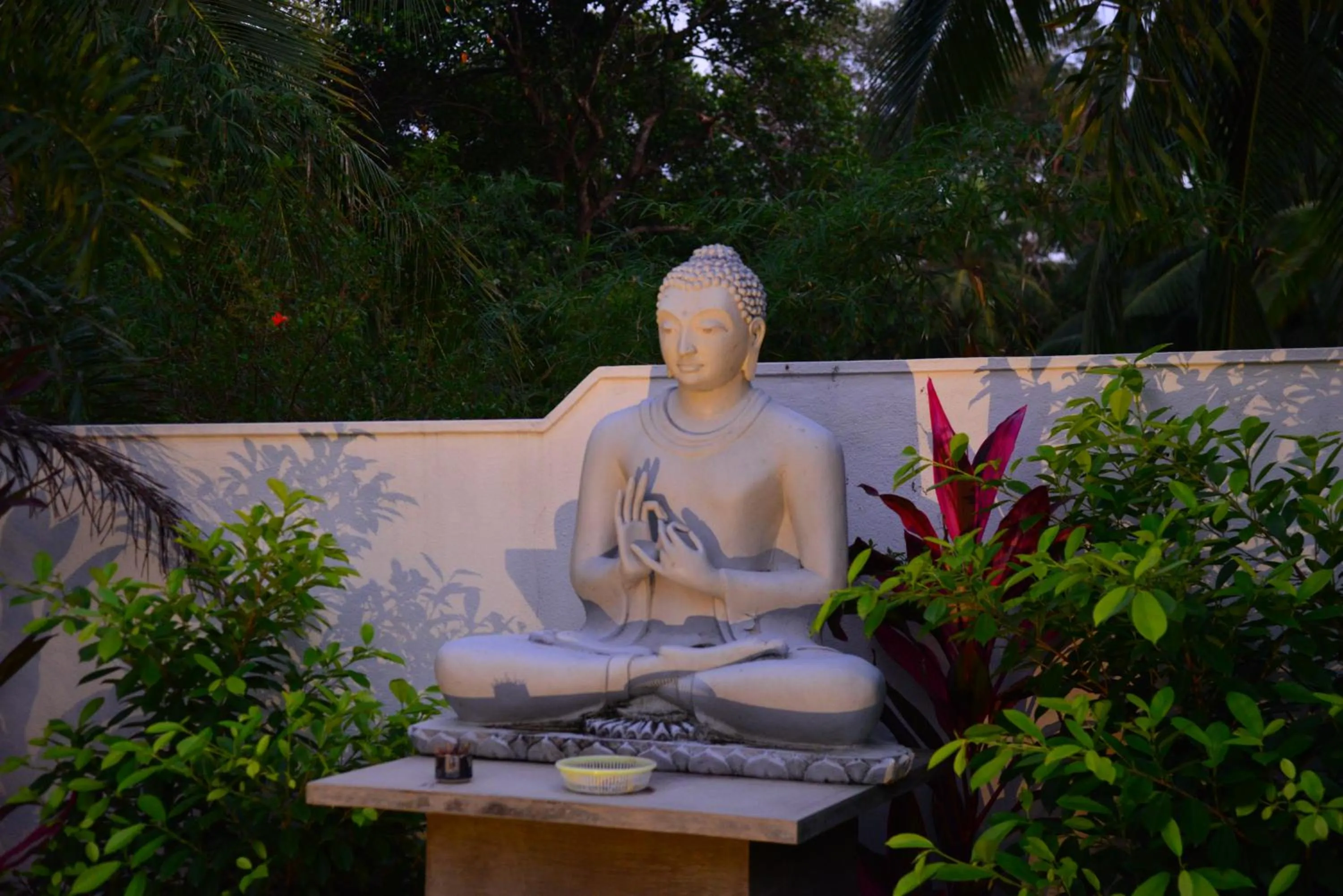 Garden in Boutique Villa Shanthi