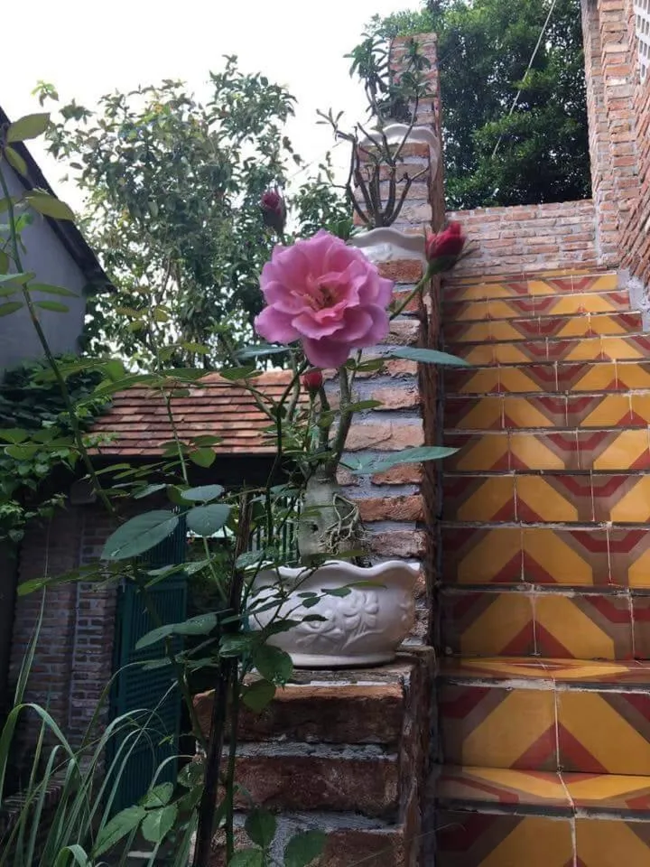 Nam Thi Holiday Home