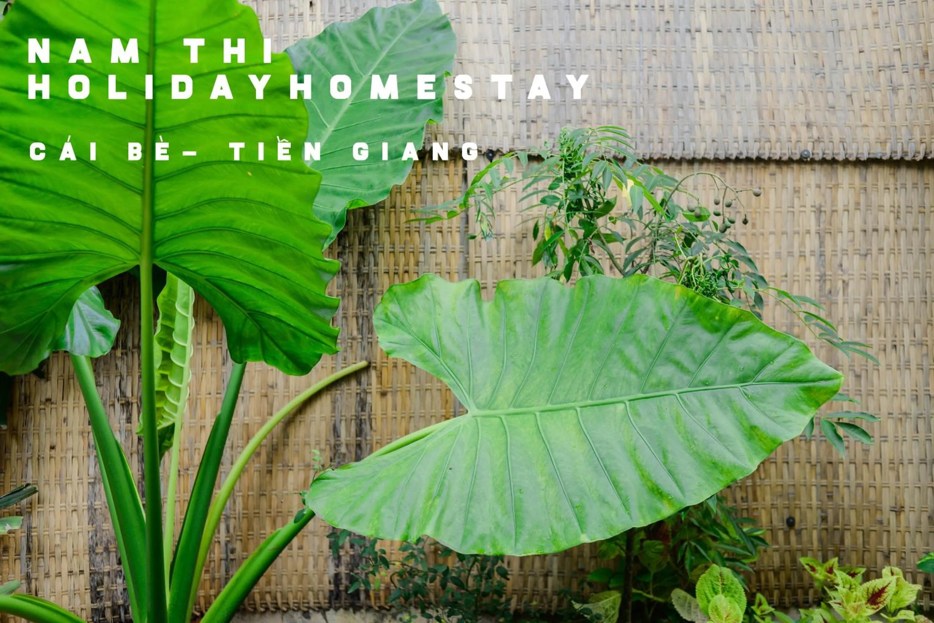 Nam Thi Holiday Home