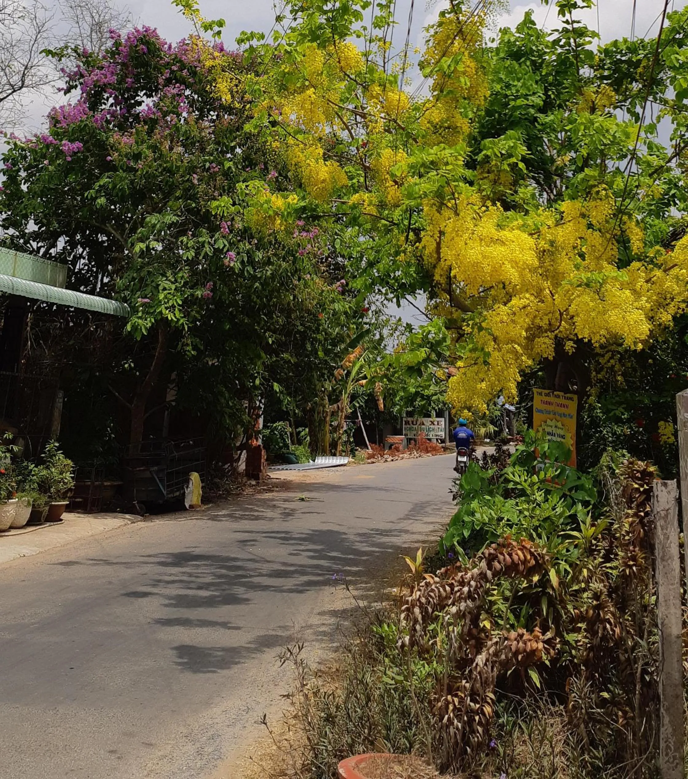 Nam Thi Holiday Home