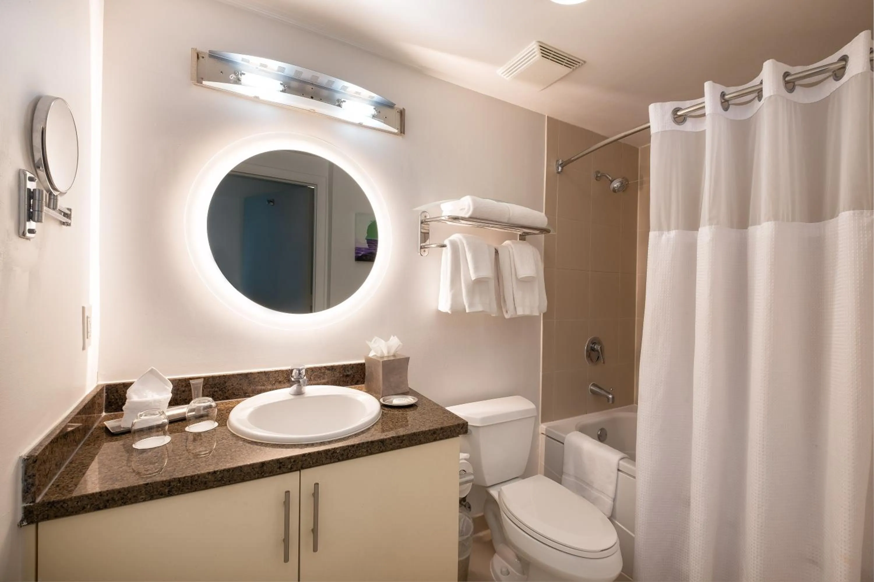 Shower in Hotel Arya BW Premier Collection