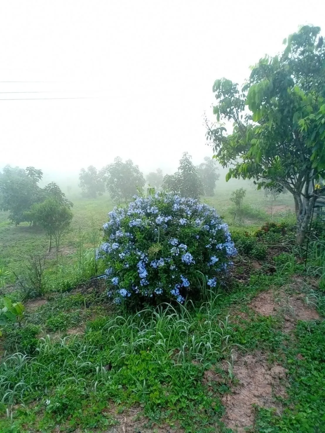Phu Aram Khao Kho Resort