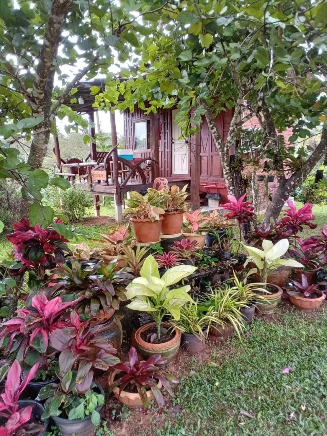 Phu Aram Khao Kho Resort