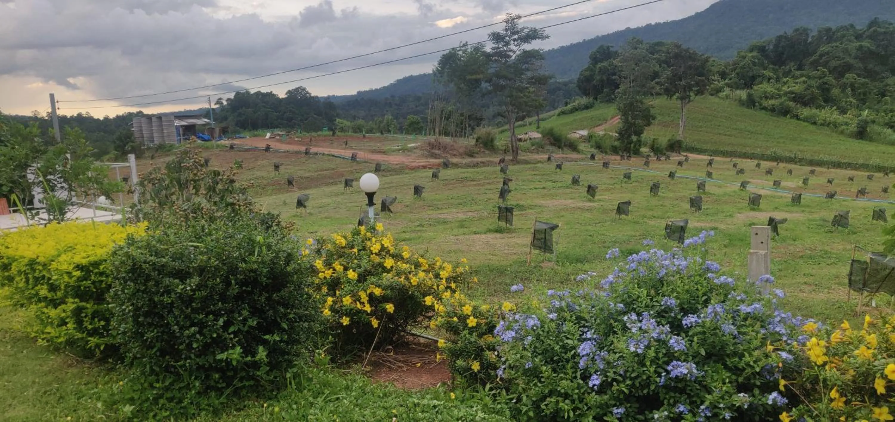 Phu Aram Khao Kho Resort